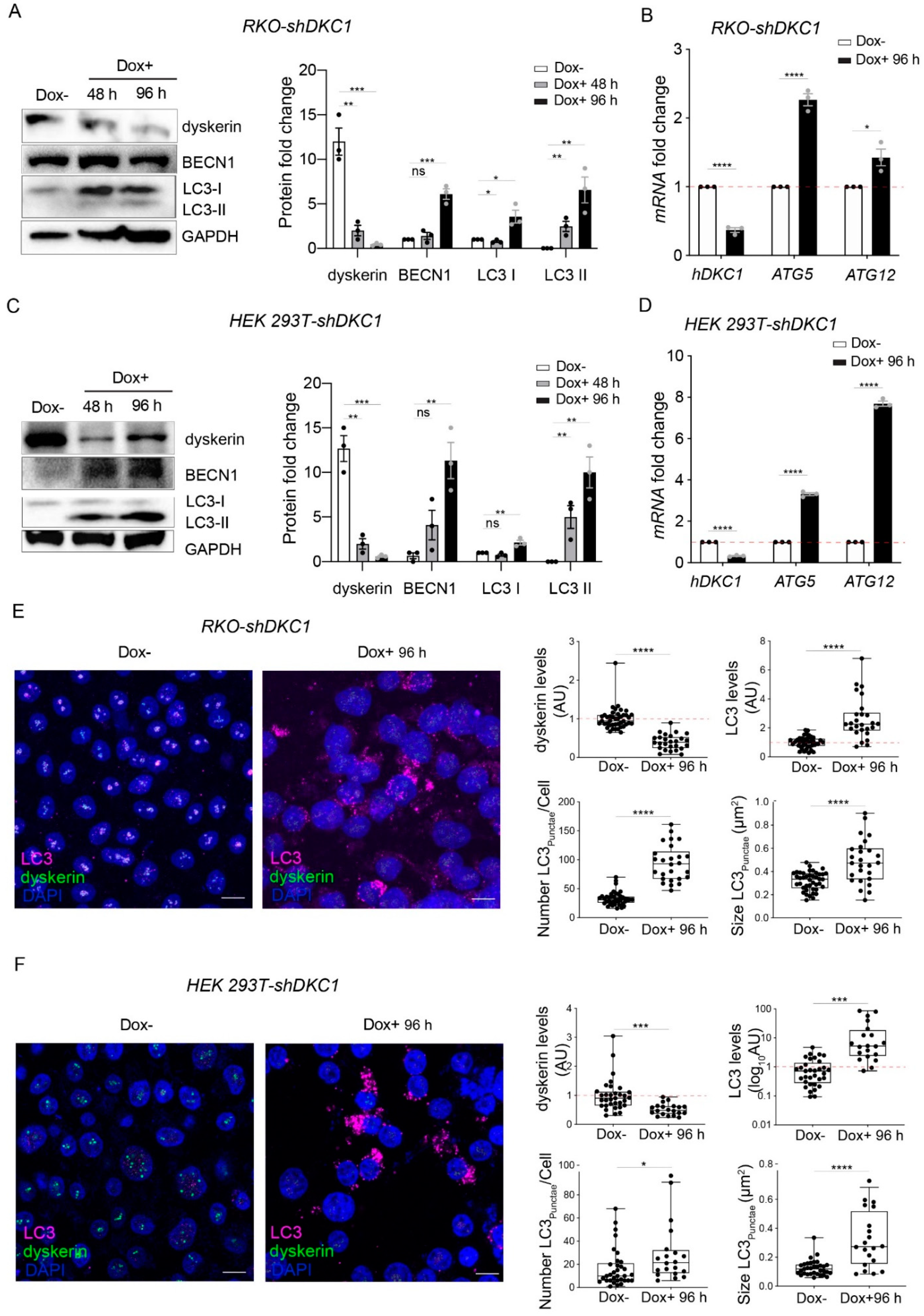 Biomedicines 10 01092 g004