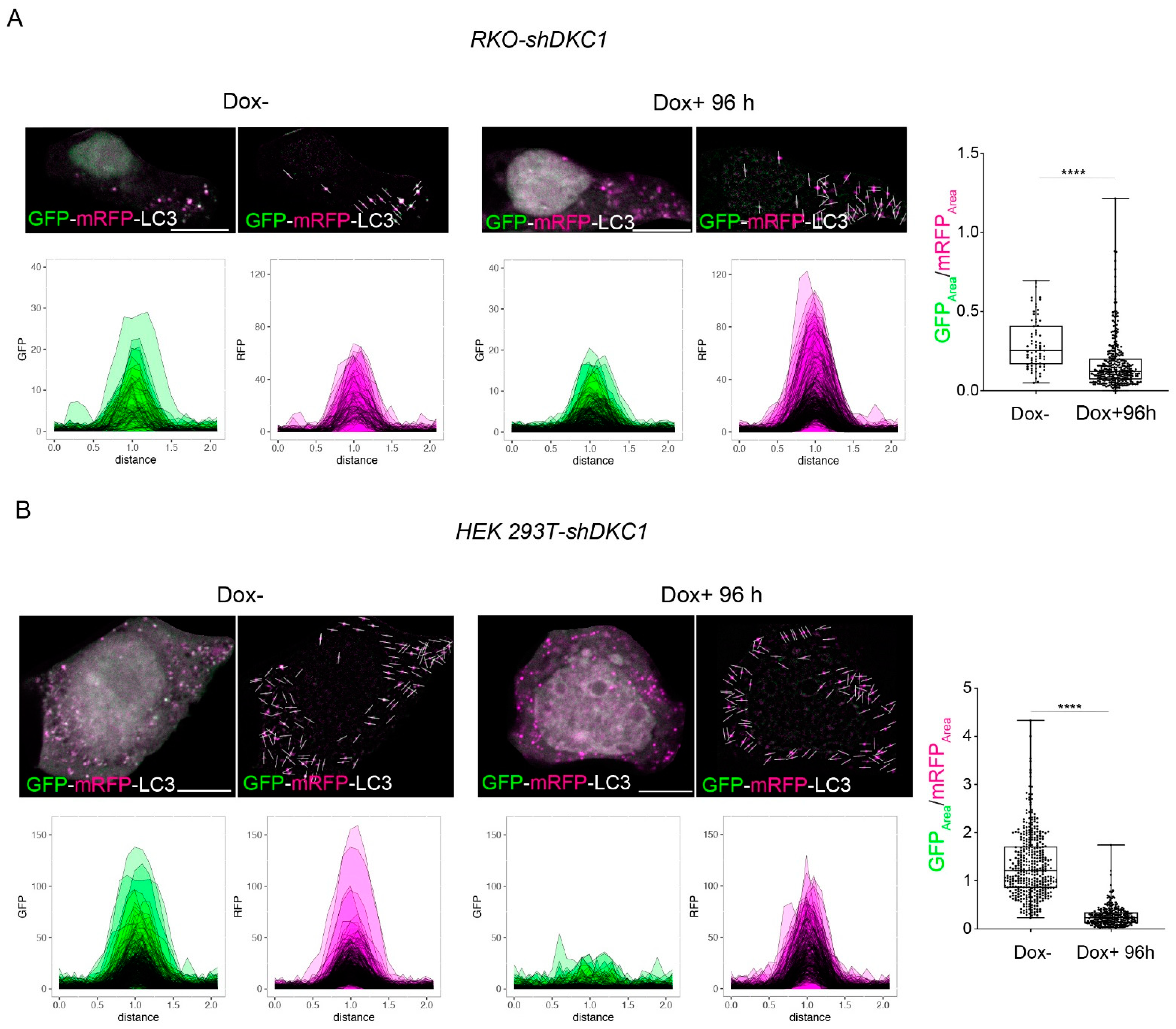 Biomedicines 10 01092 g005