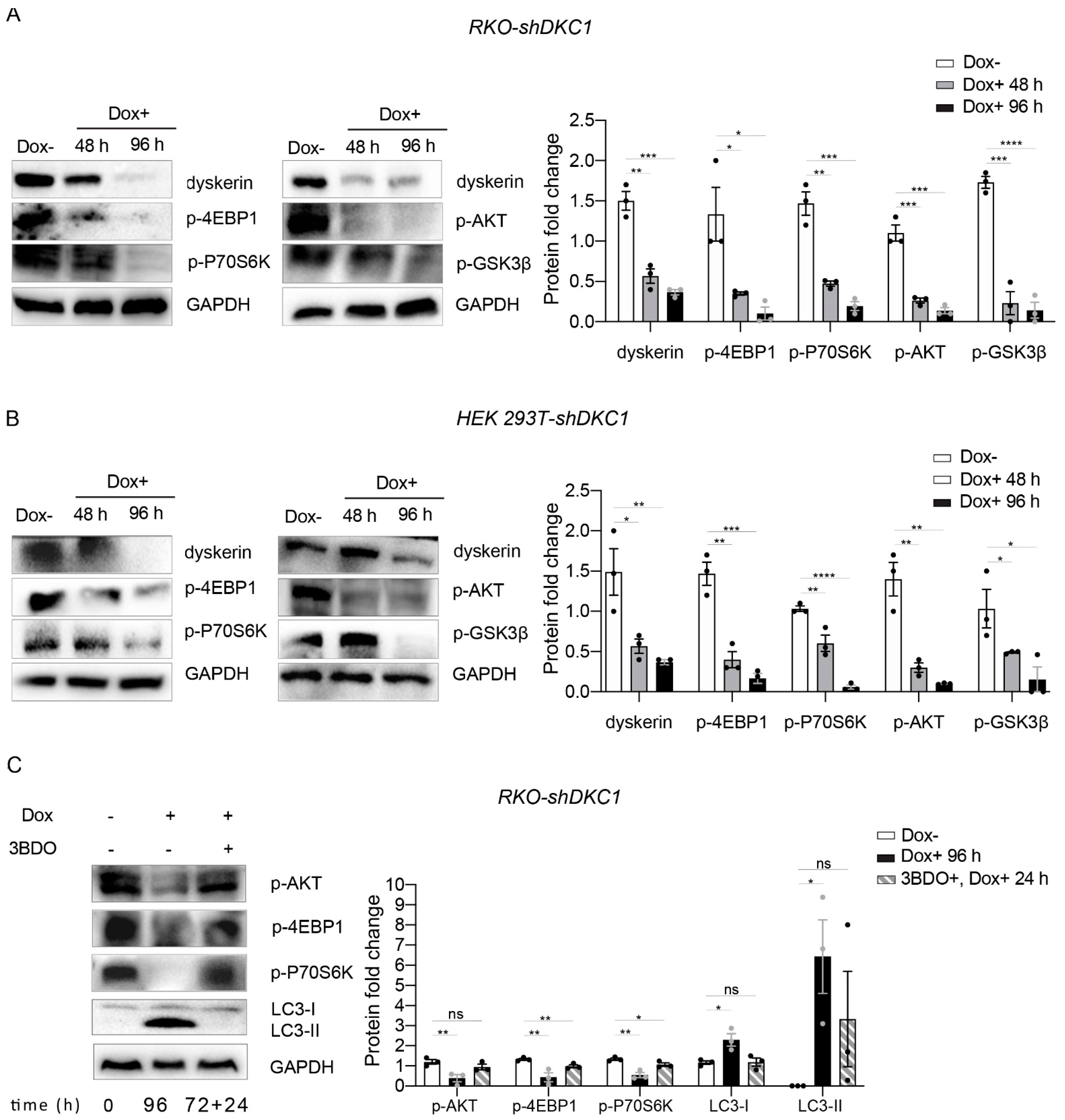 Biomedicines 10 01092 g006