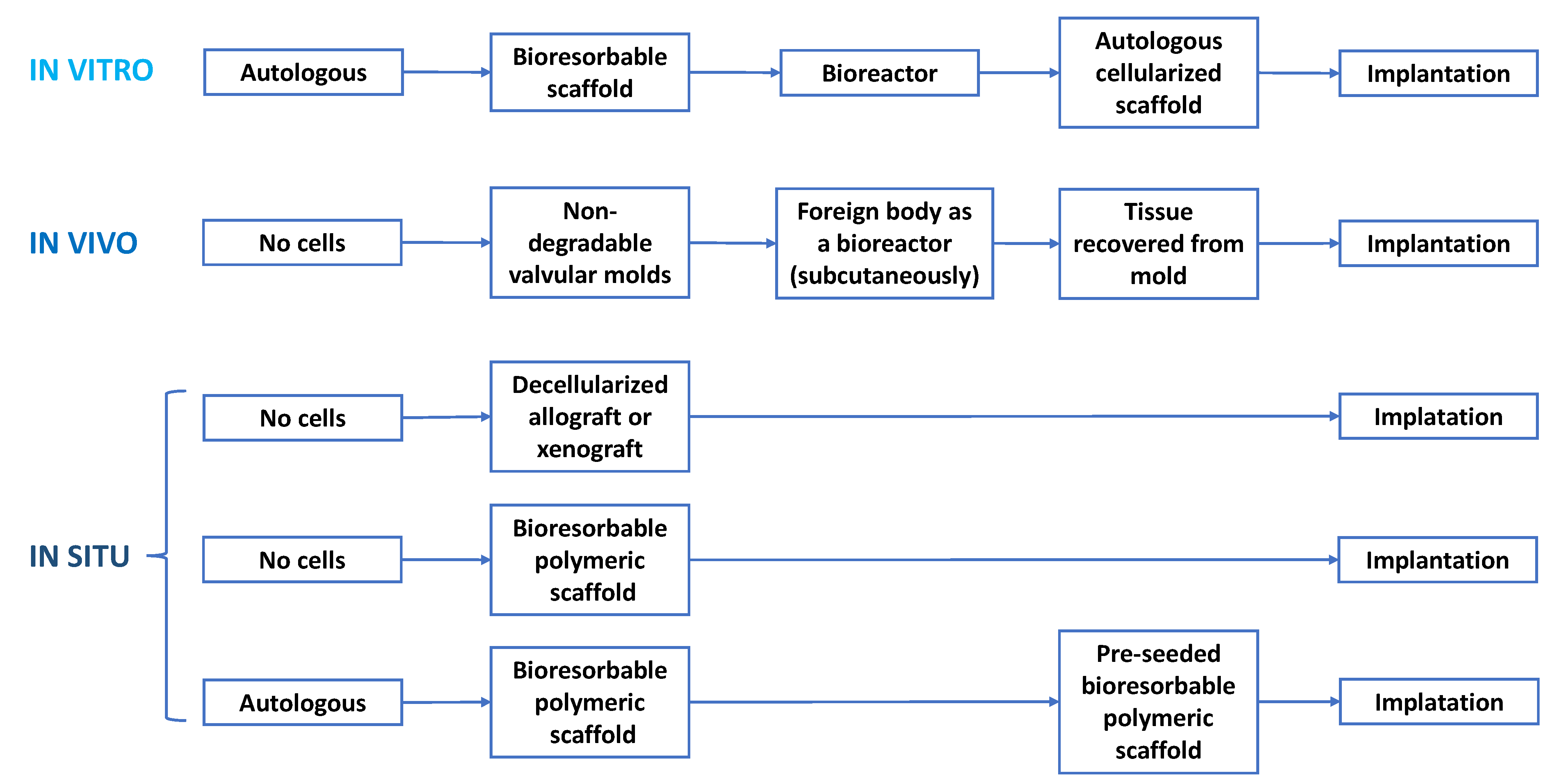 Biomedicines 10 01095 g008 Biomedicines 10 01095 g008