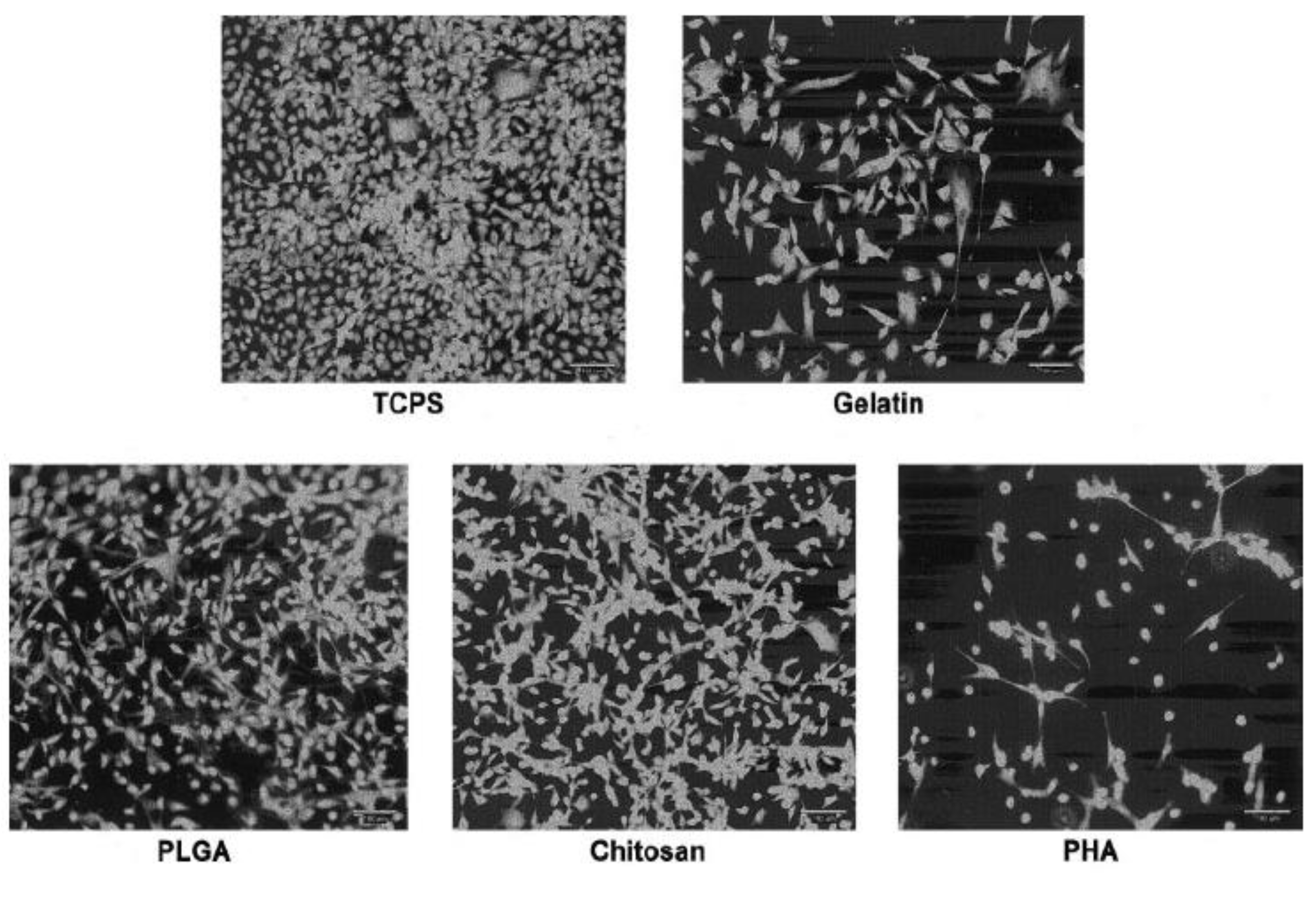 Biomedicines 10 01095 g009 Biomedicines 10 01095 g009