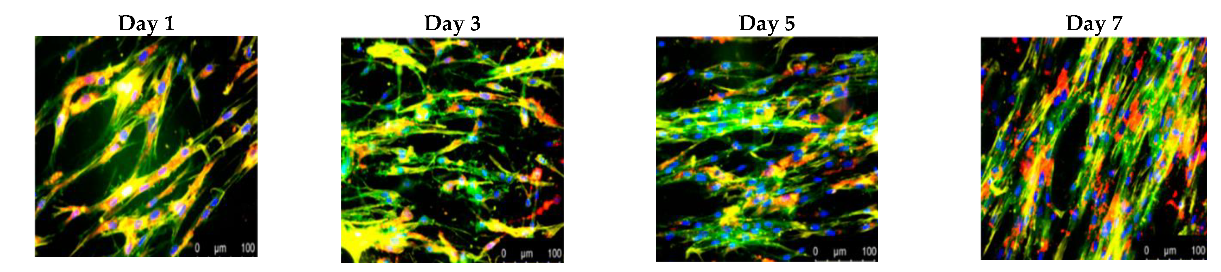 Biomedicines 10 01095 g017 Biomedicines 10 01095 g017