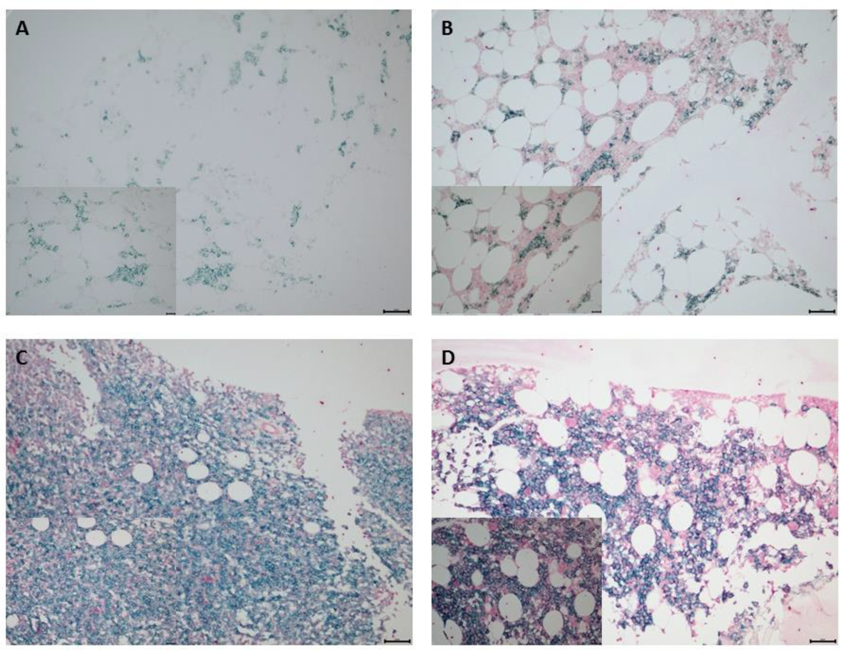 Biomedicines 10 01099 g001 550