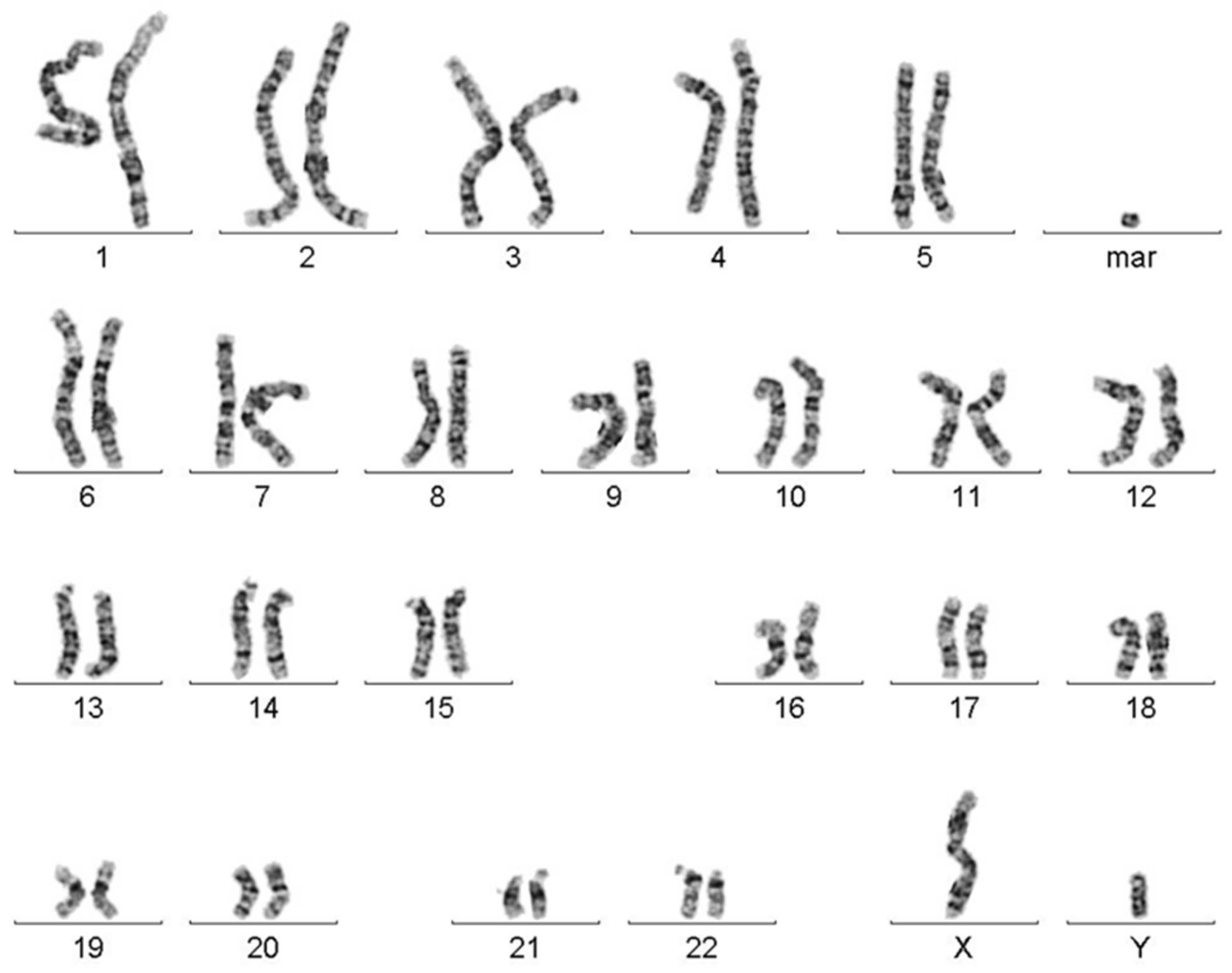 Biomedicines Free FullText The First Neocentric, Discontinuous, and Complex Small
