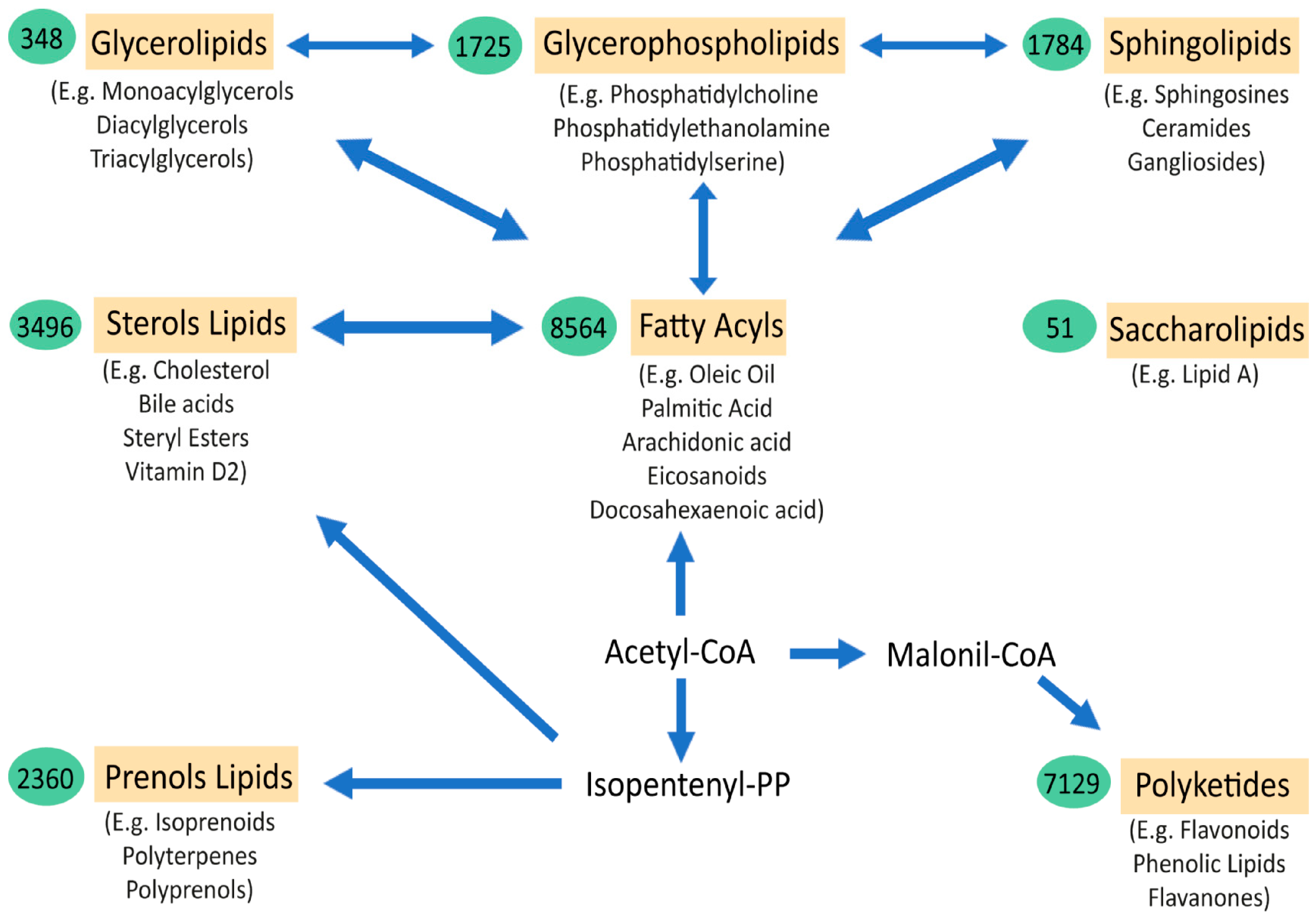 Biomedicines 10 01105 g001