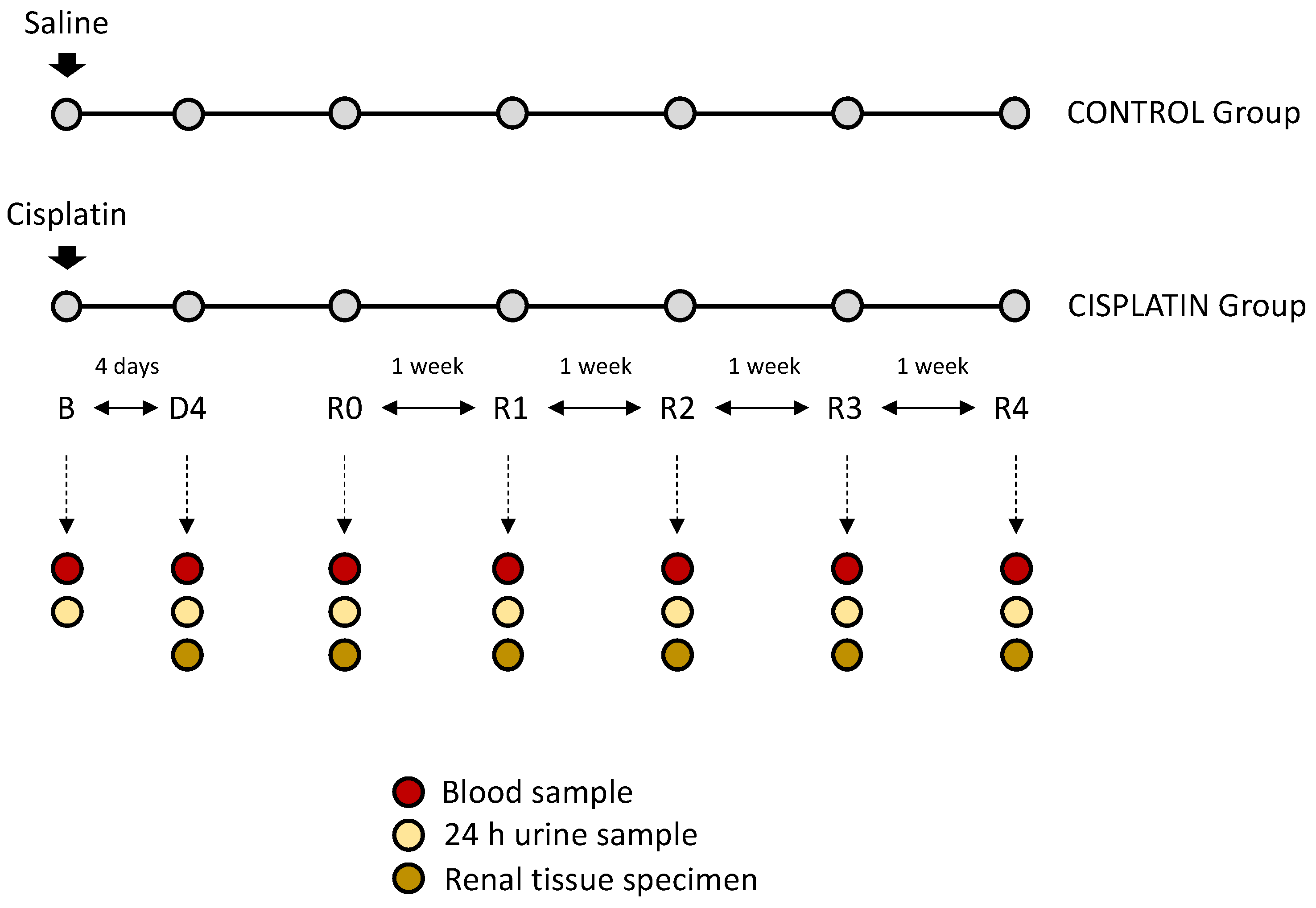 Biomedicines 10 01106 g001 Biomedicines 10 01106 g001