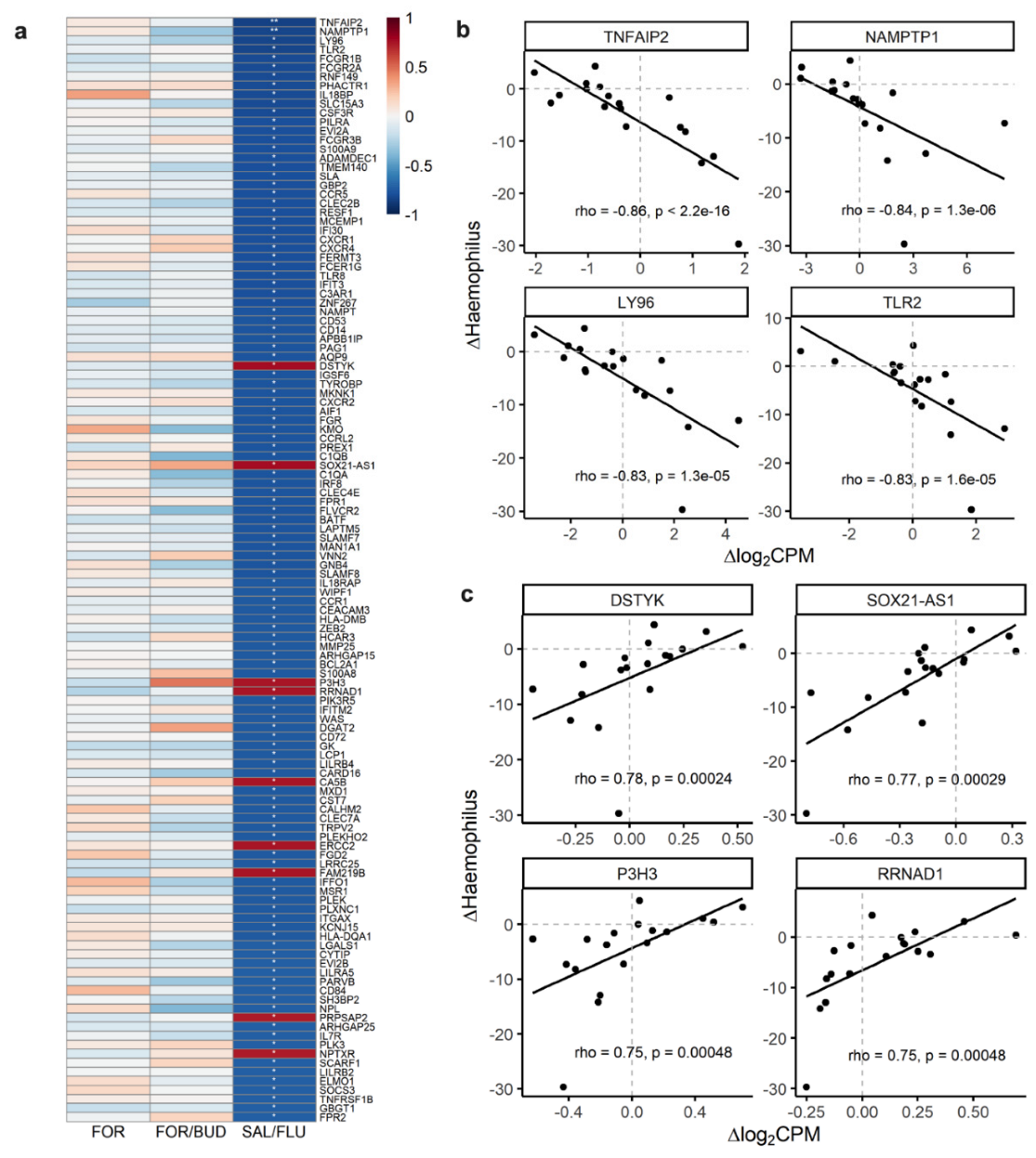 Biomedicines 10 01110 g003 550
