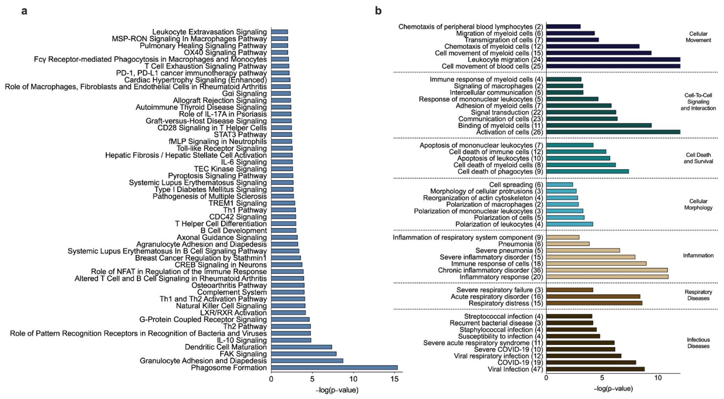 Biomedicines 10 01110 g005 550