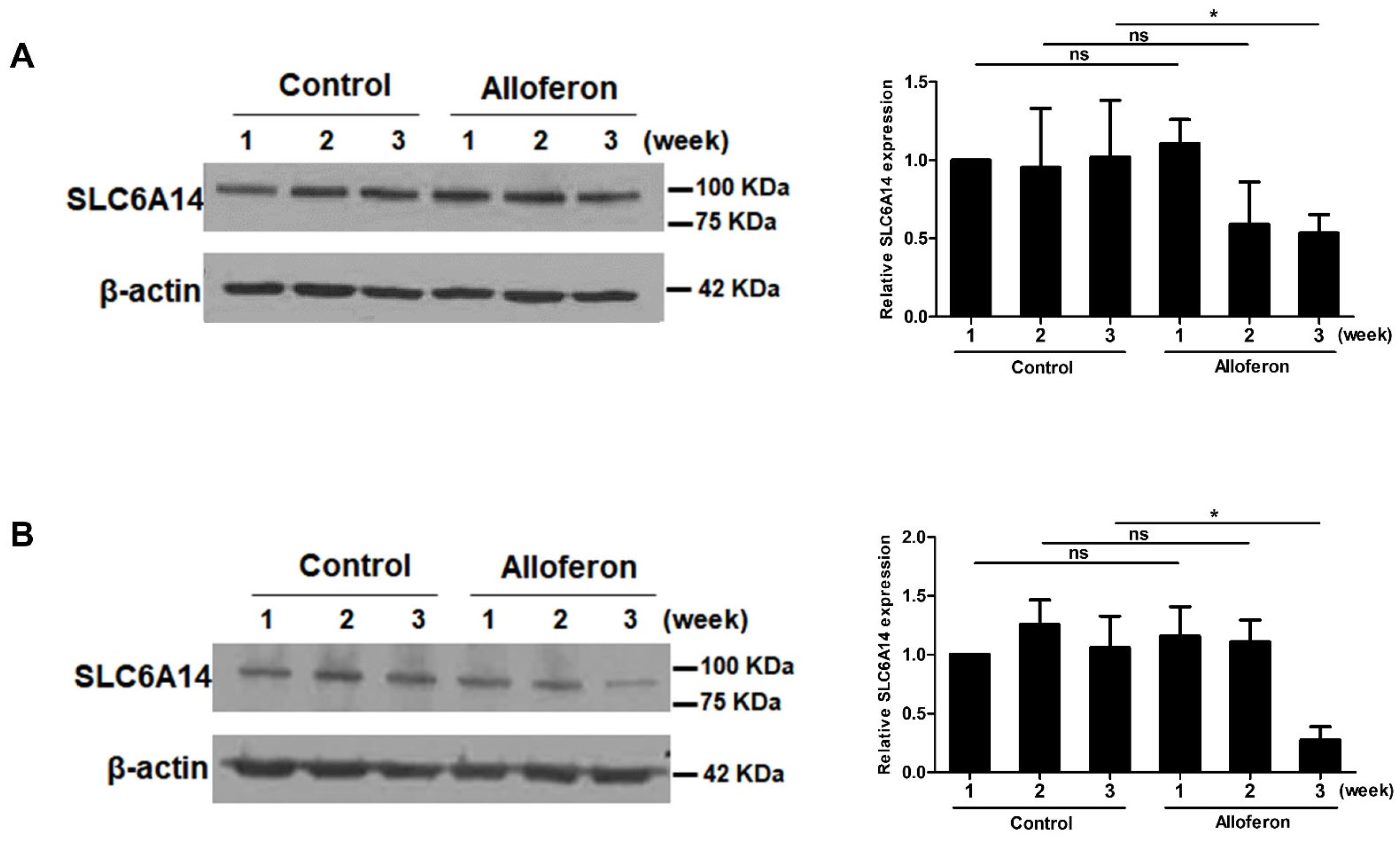 Biomedicines 10 01113 g002