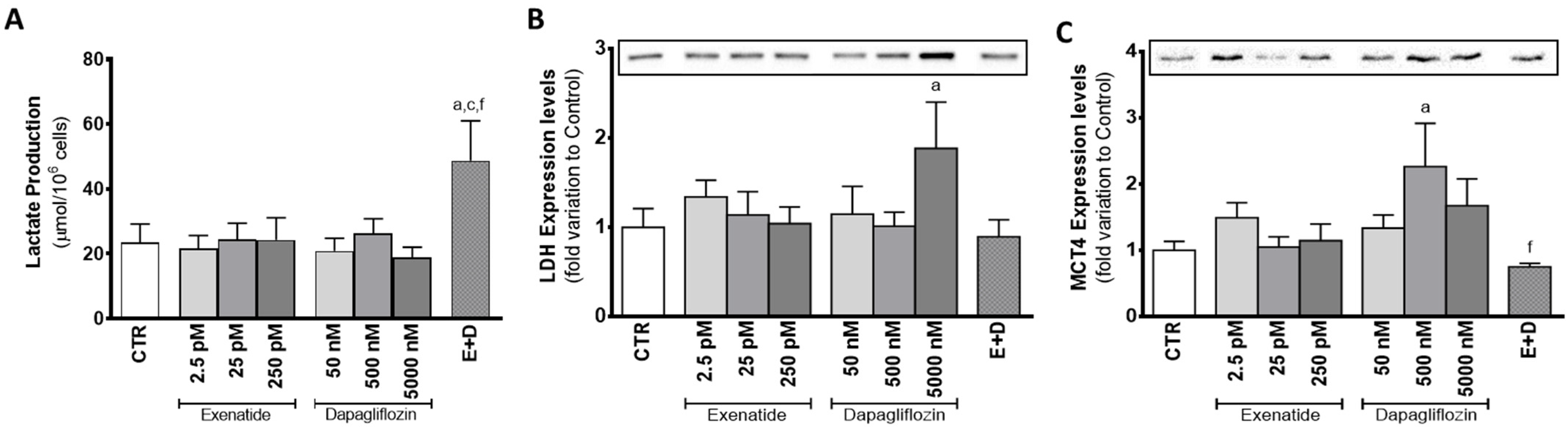 Biomedicines 10 01115 g004