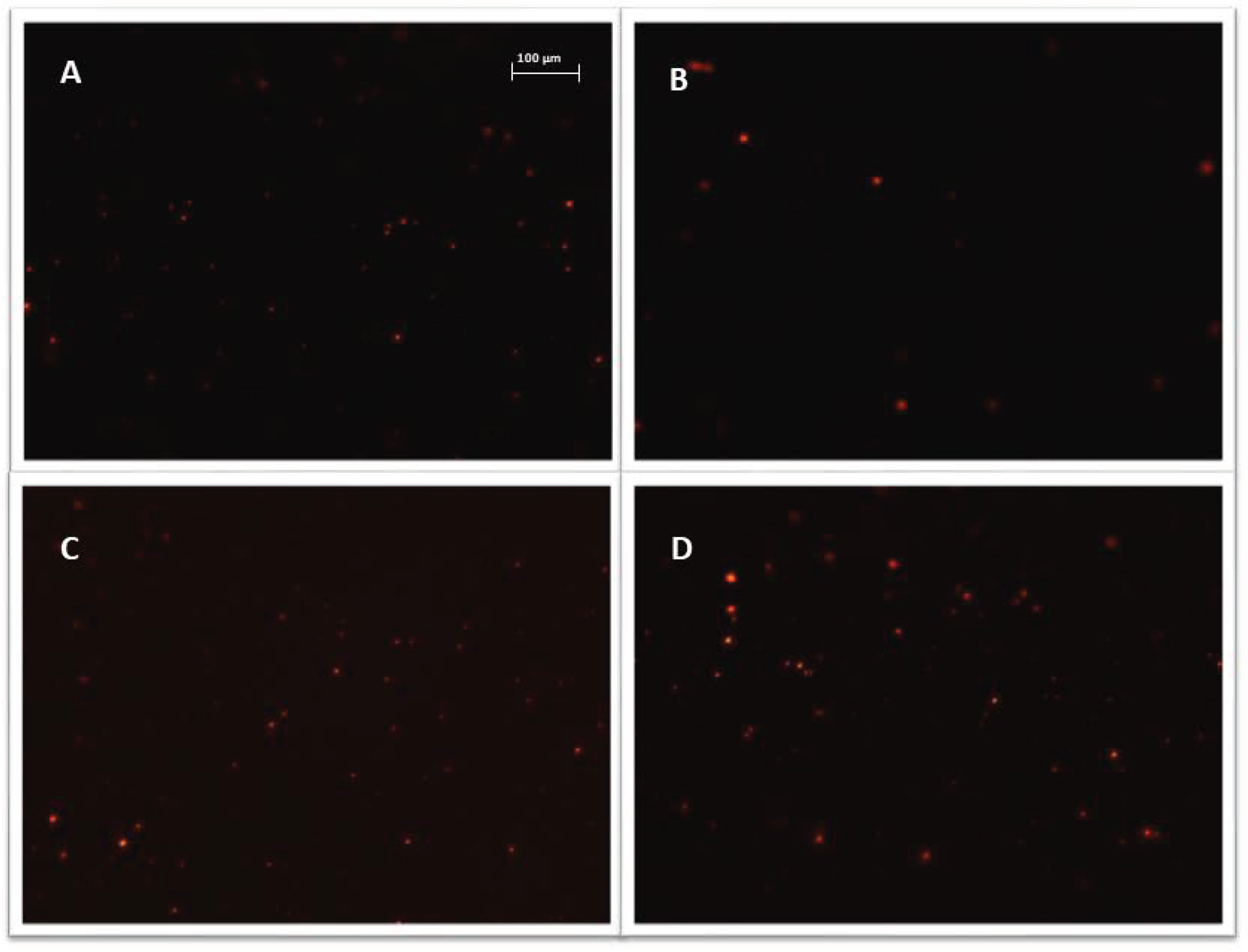 Biomedicines 10 01116 g005 550