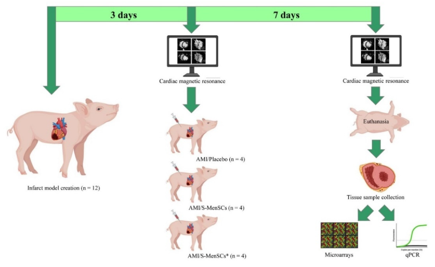 Biomedicines 10 01117 g005 Biomedicines 10 01117 g005