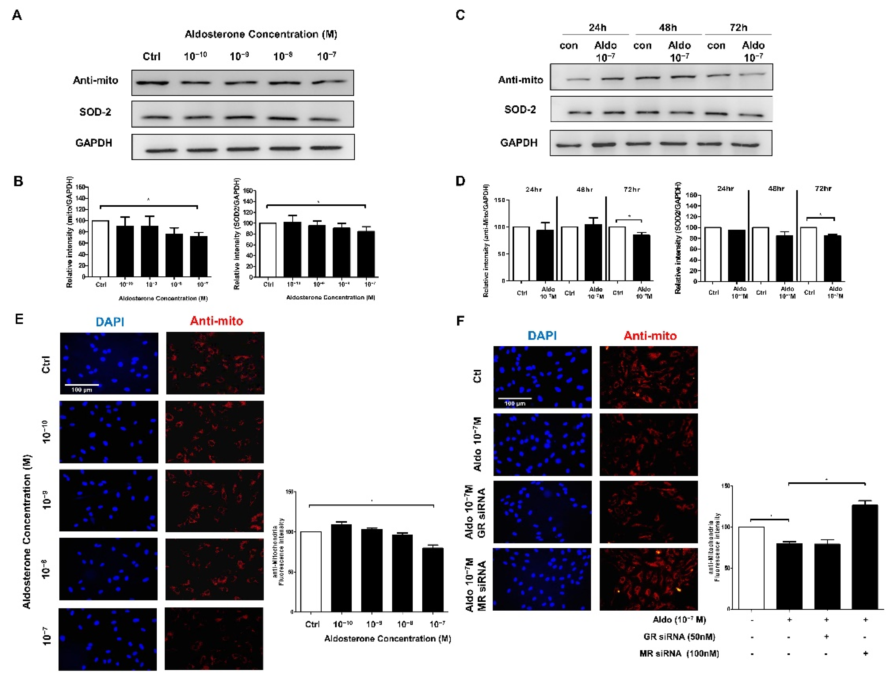 Biomedicines 10 01119 g002 550