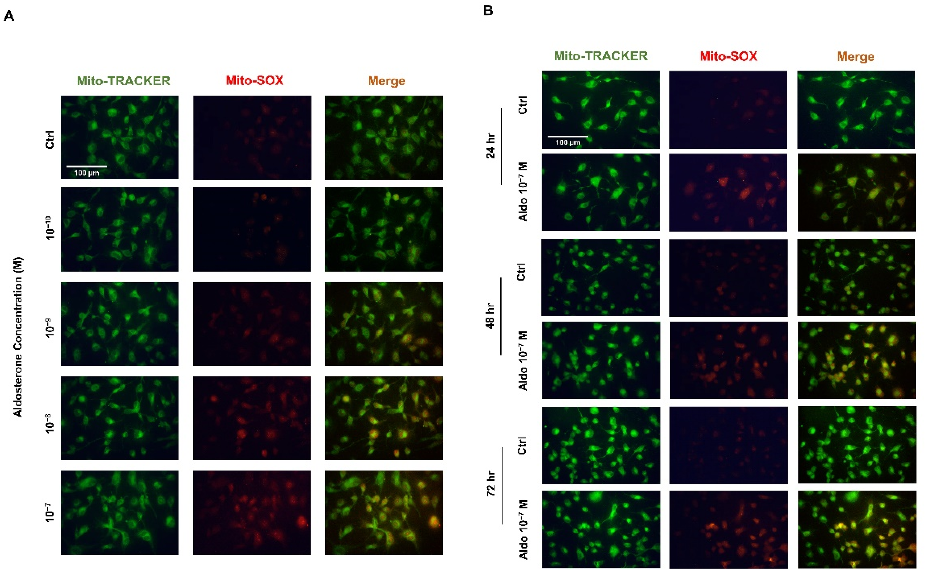 Biomedicines 10 01119 g003 550