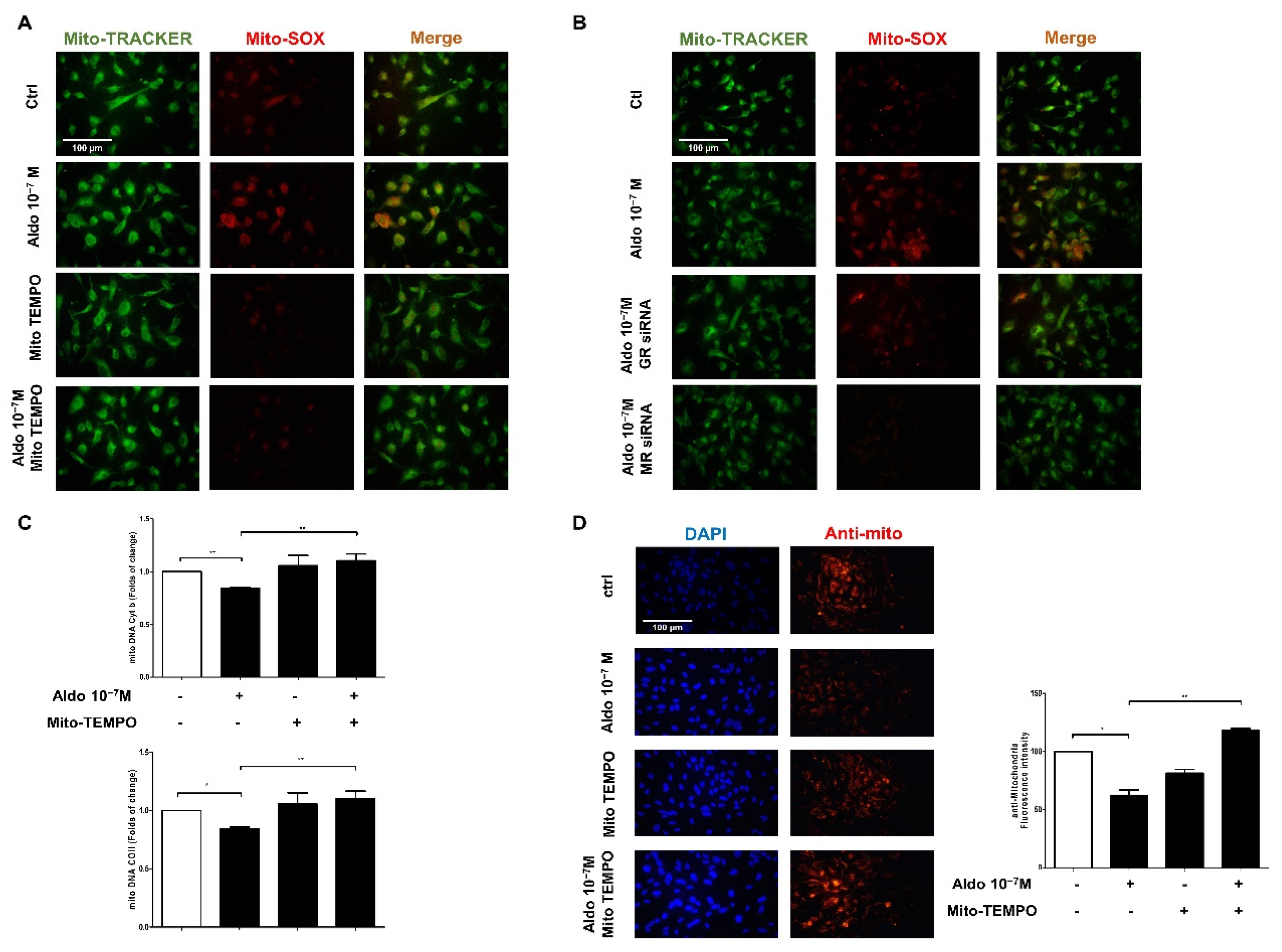 Biomedicines 10 01119 g004 550