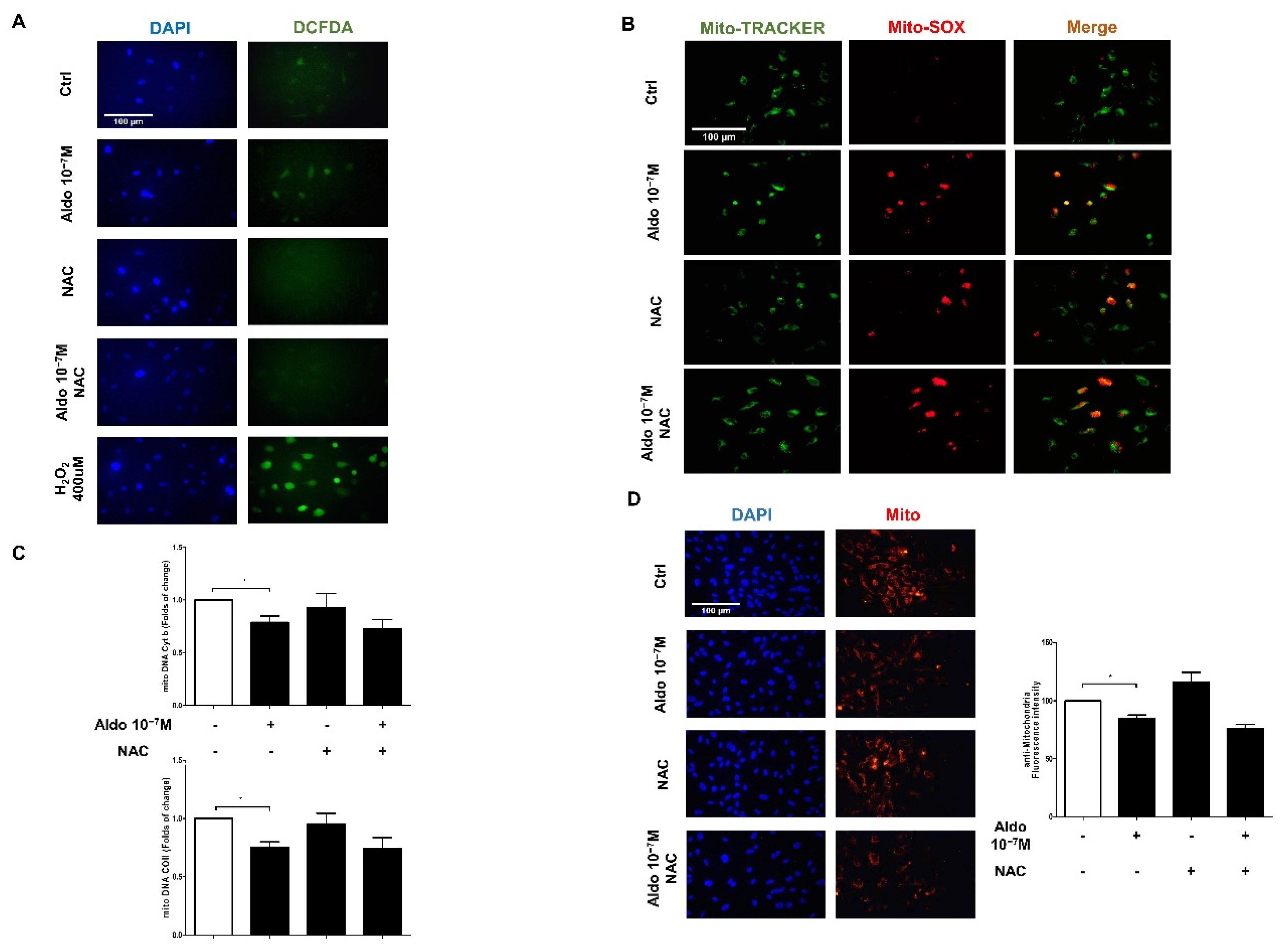Biomedicines 10 01119 g005 550