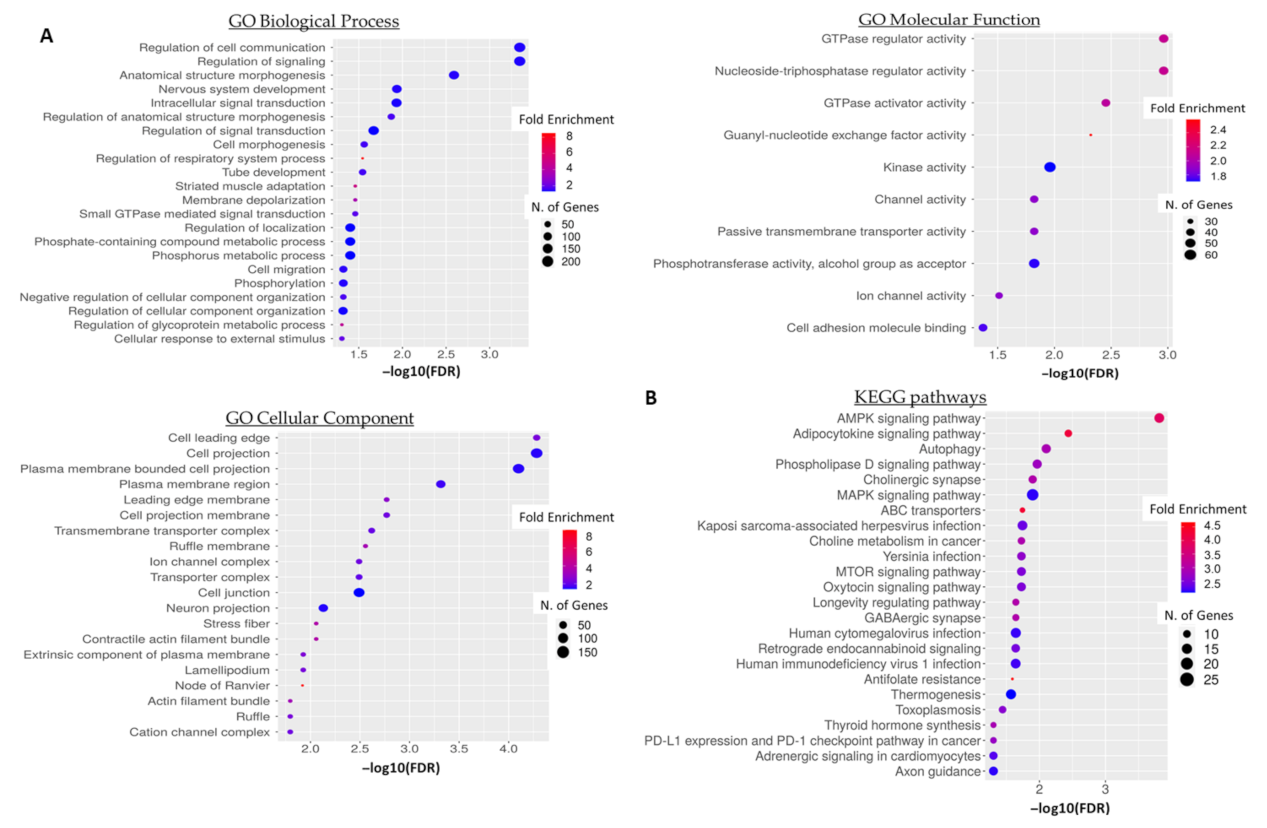 Biomedicines 10 01120 g006 Biomedicines 10 01120 g006