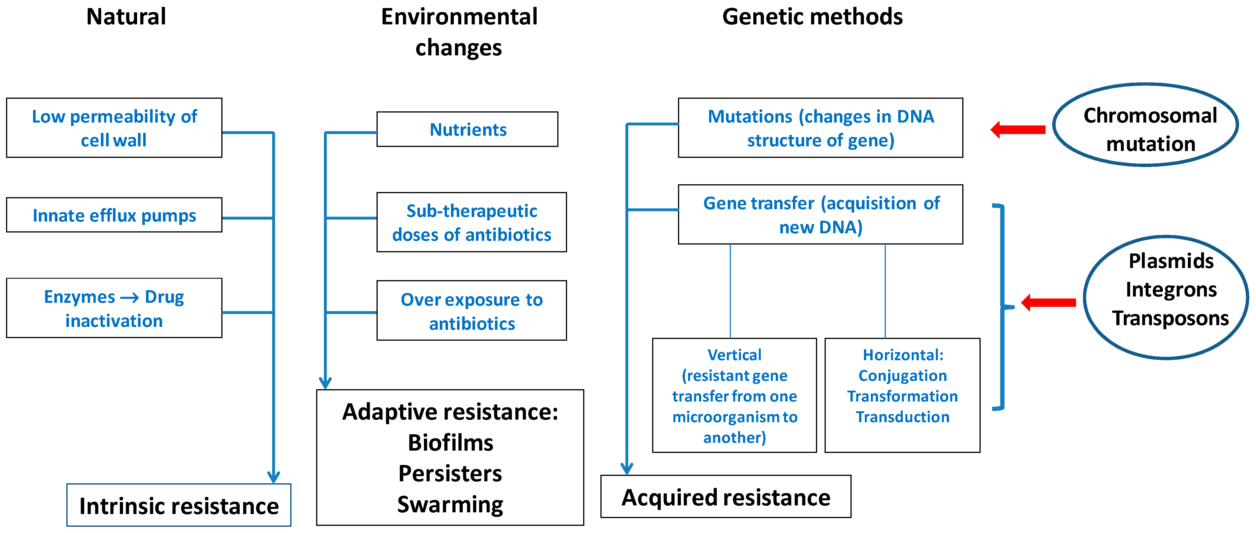 Biomedicines 10 01121 g003 Biomedicines 10 01121 g003