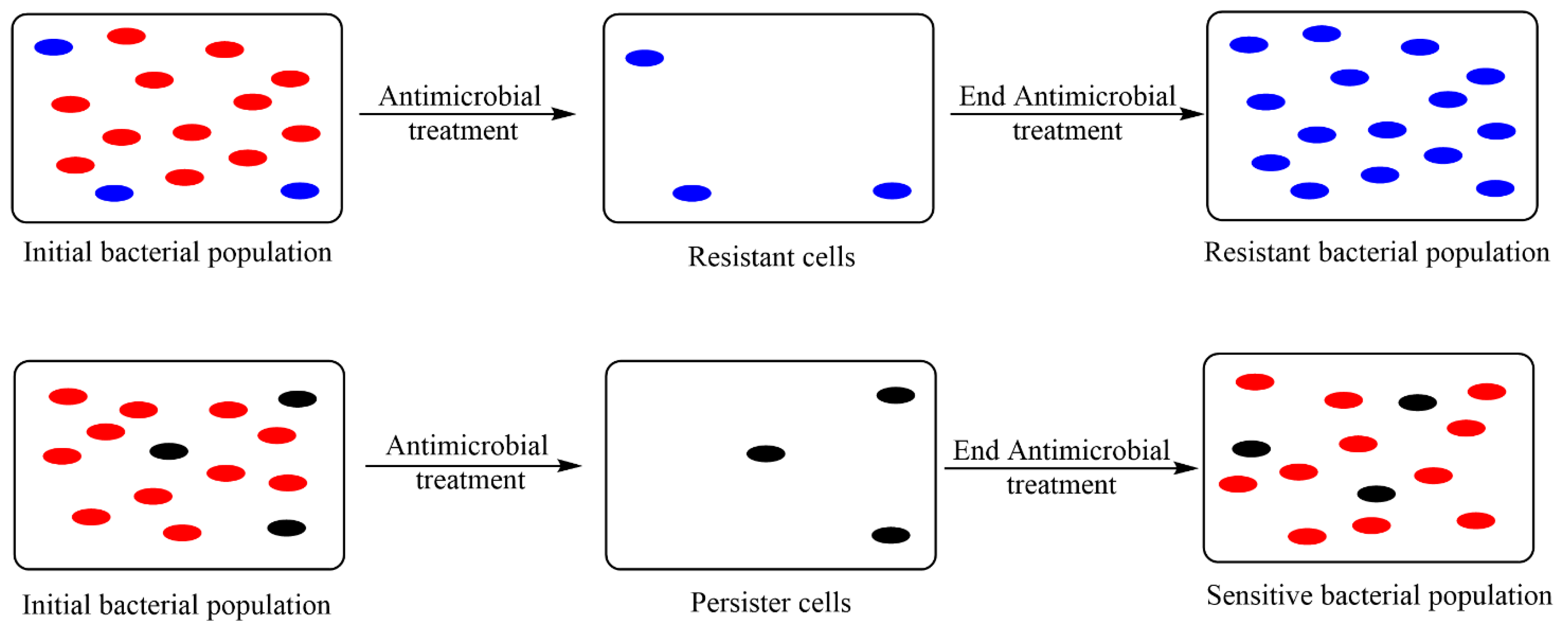 Biomedicines 10 01121 g005 Biomedicines 10 01121 g005