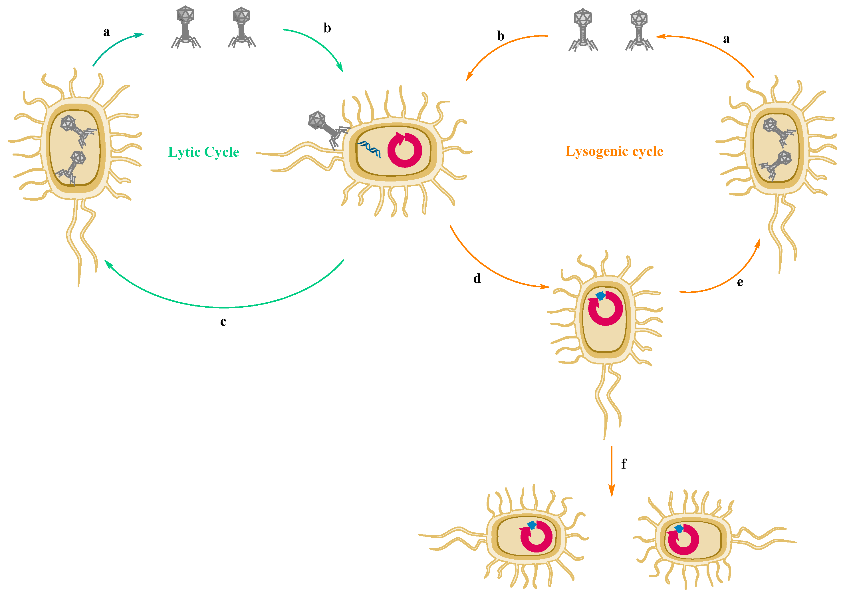 Biomedicines 10 01121 g010 Biomedicines 10 01121 g010