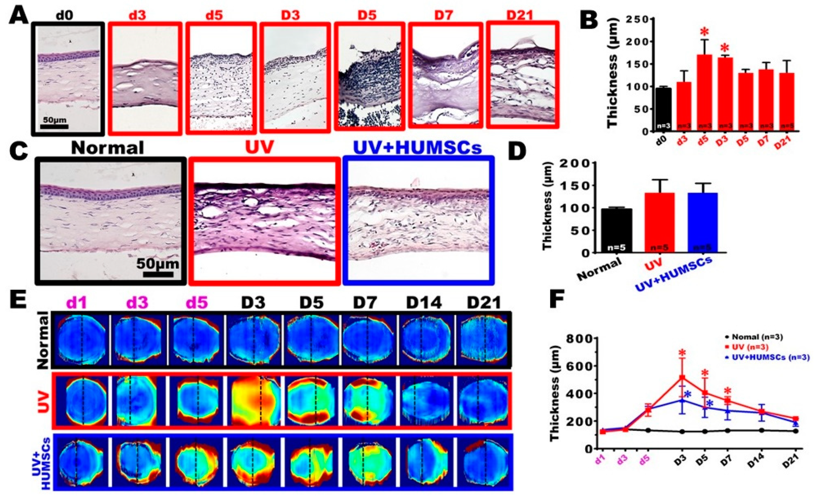 Biomedicines 10 01125 g002