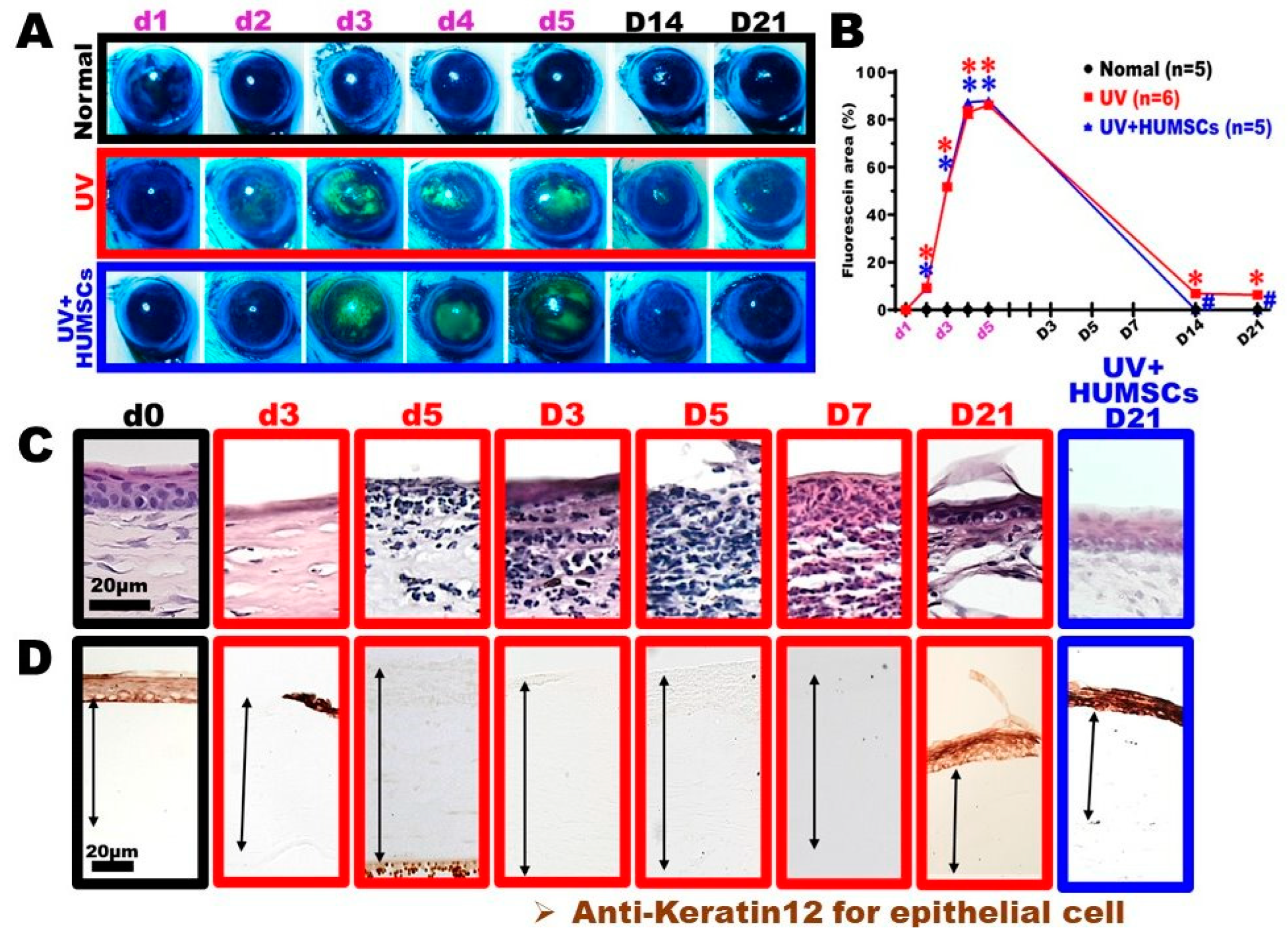Biomedicines 10 01125 g003