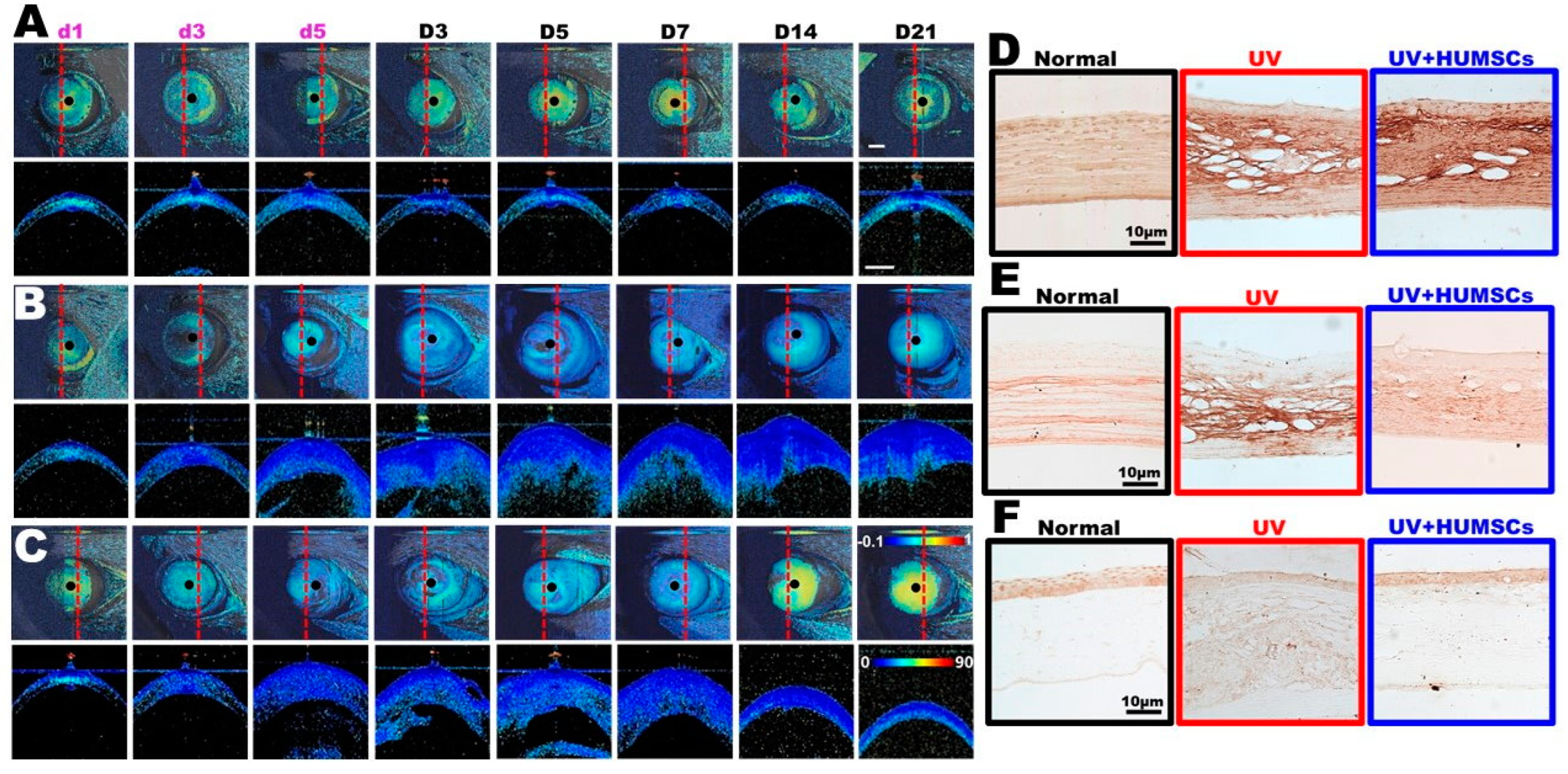 Biomedicines 10 01125 g004