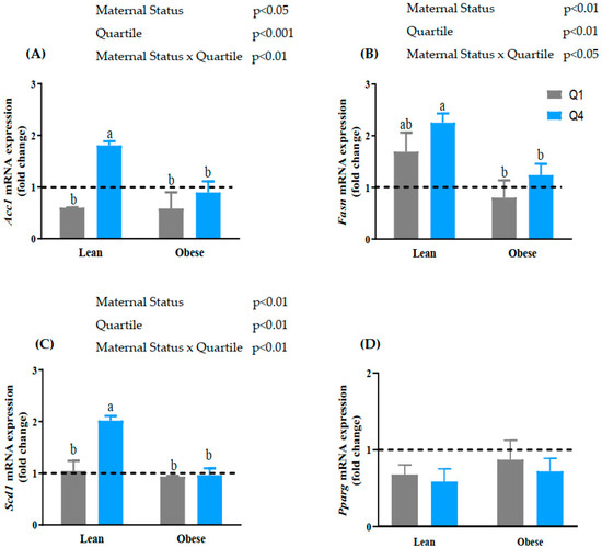 Acupuncture for Treatment of Insomnia: A Systematic Review