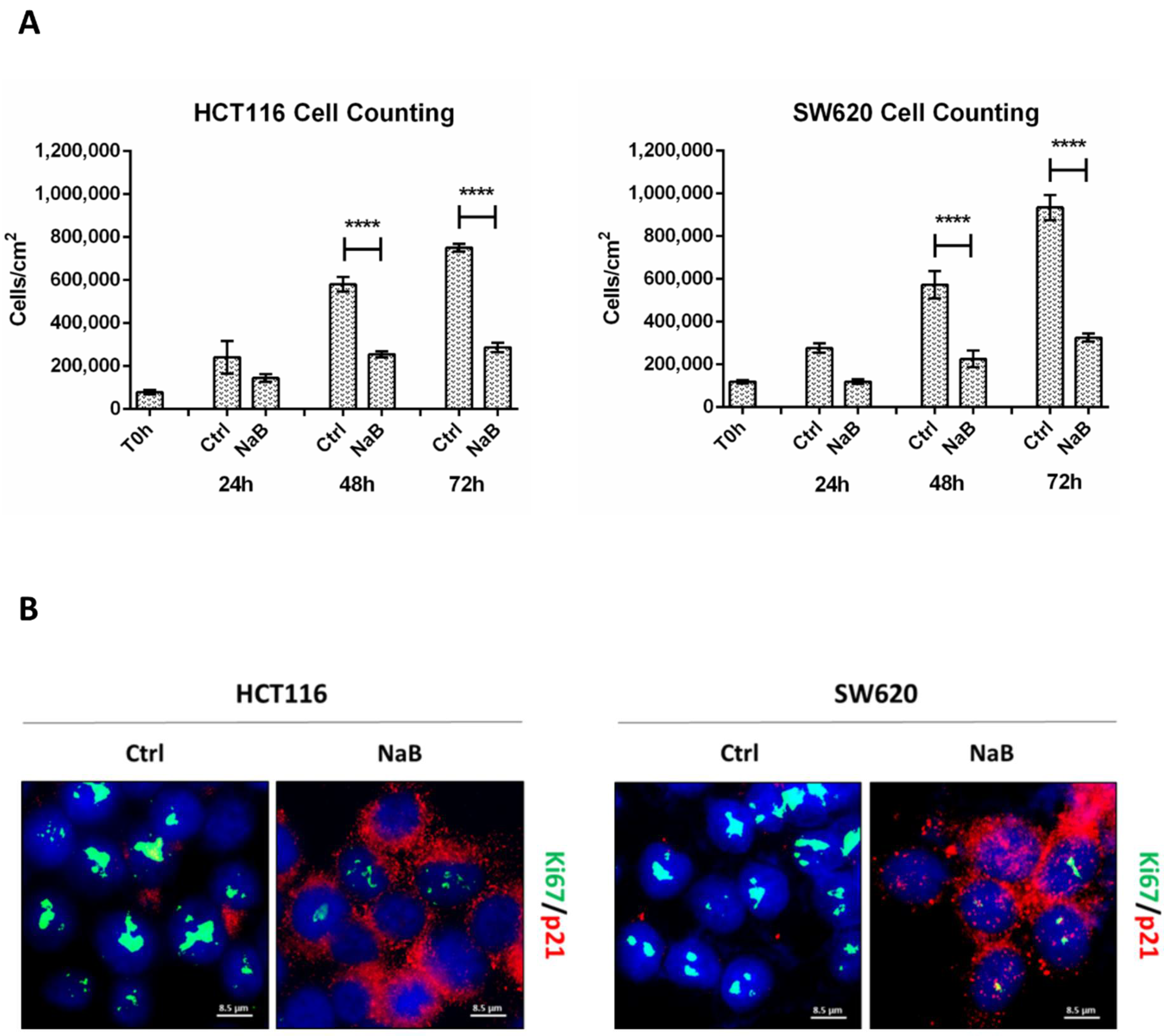 Biomedicines 10 01131 g001a