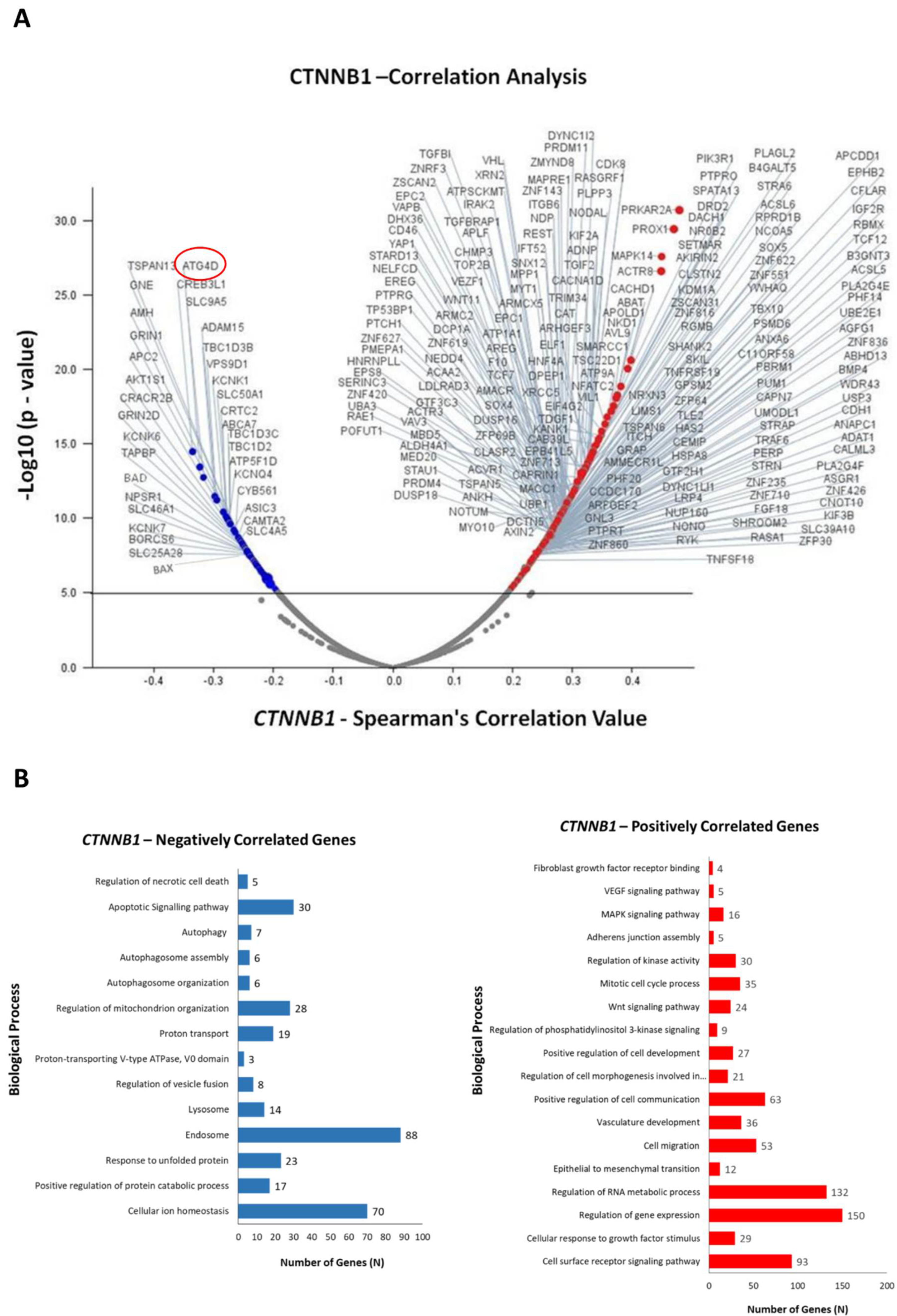 Biomedicines 10 01131 g004