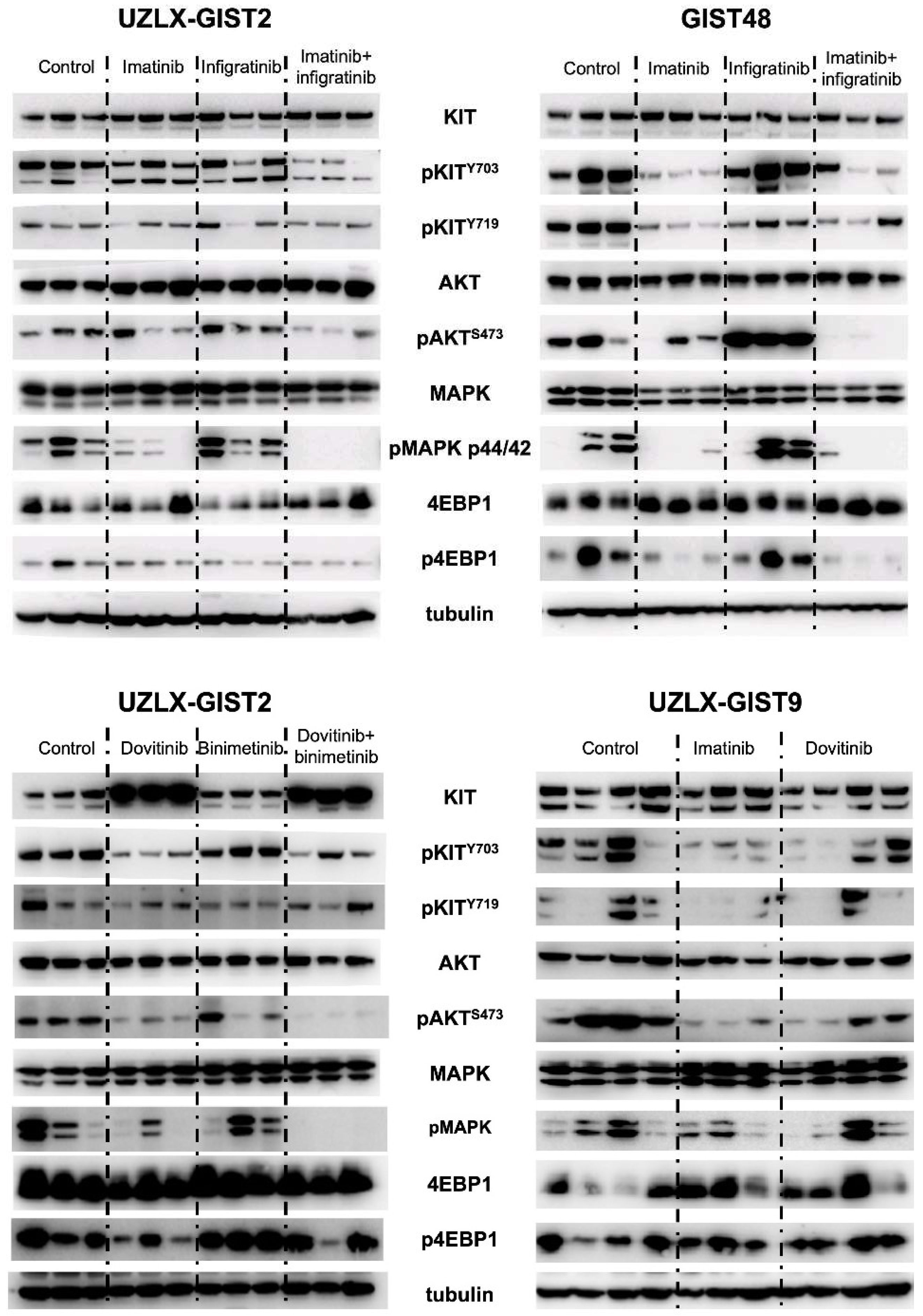 Biomedicines 10 01135 g003