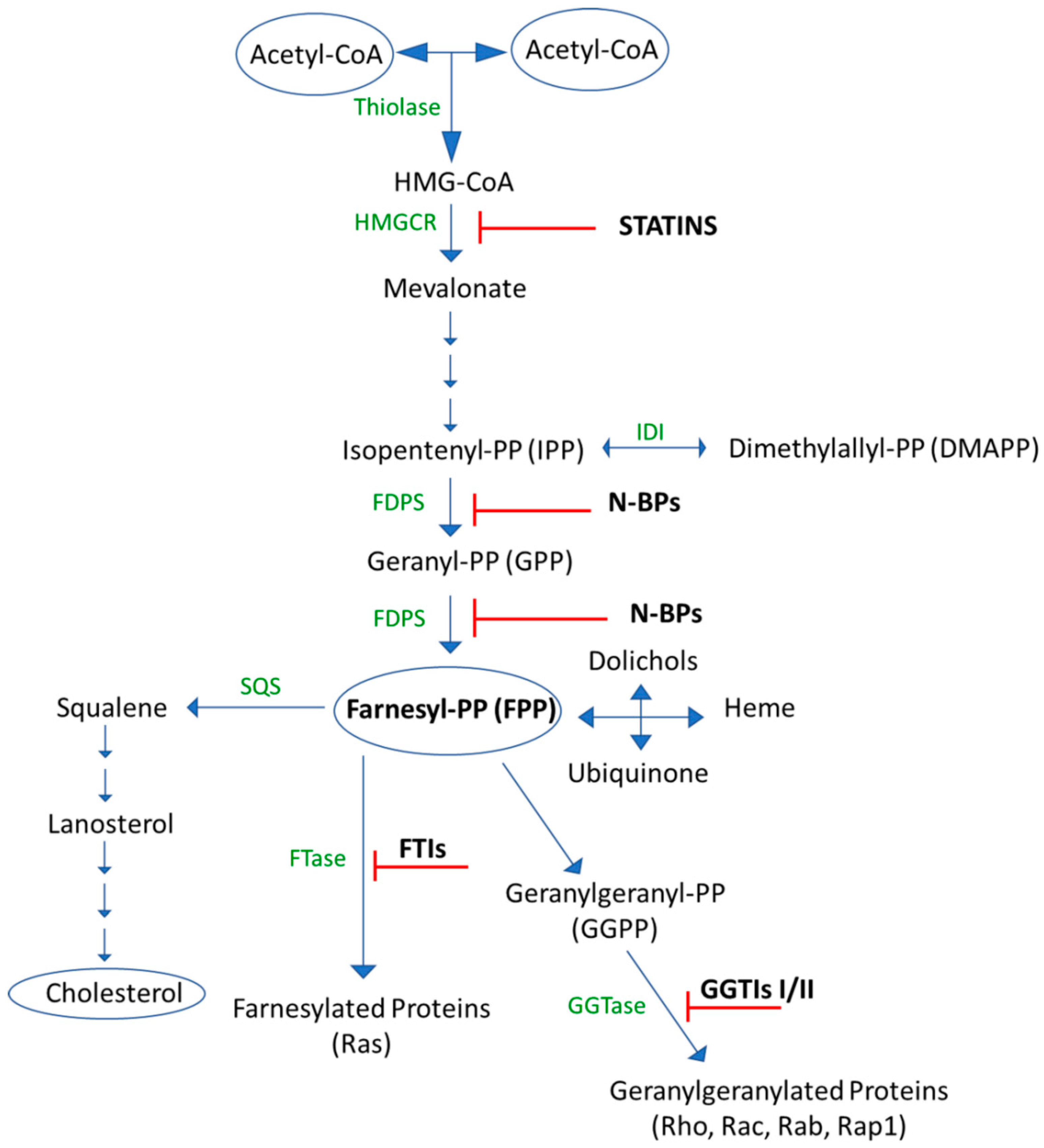 Biomedicines 10 01146 g002 Biomedicines 10 01146 g002
