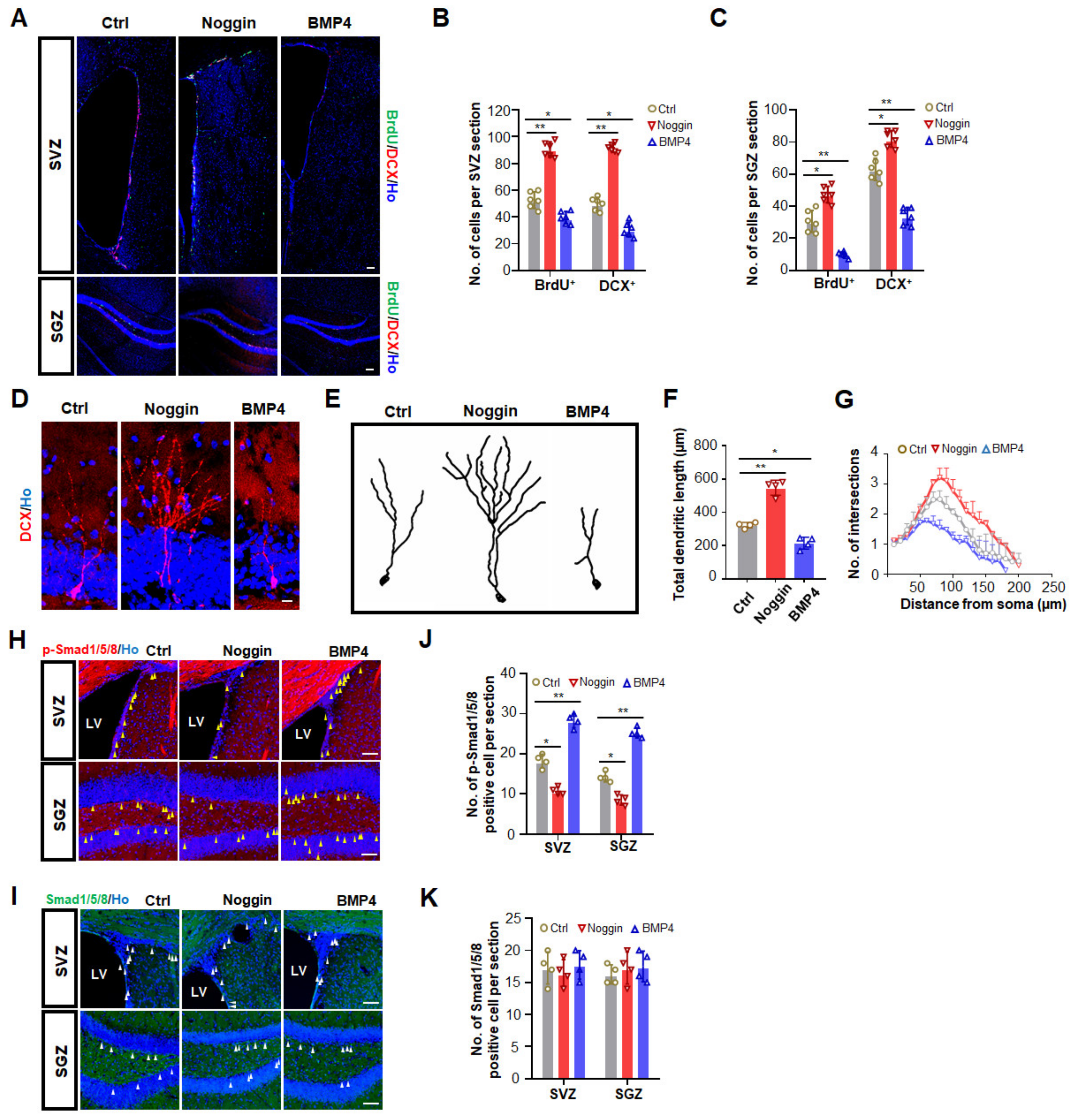 Biomedicines 10 01147 g002