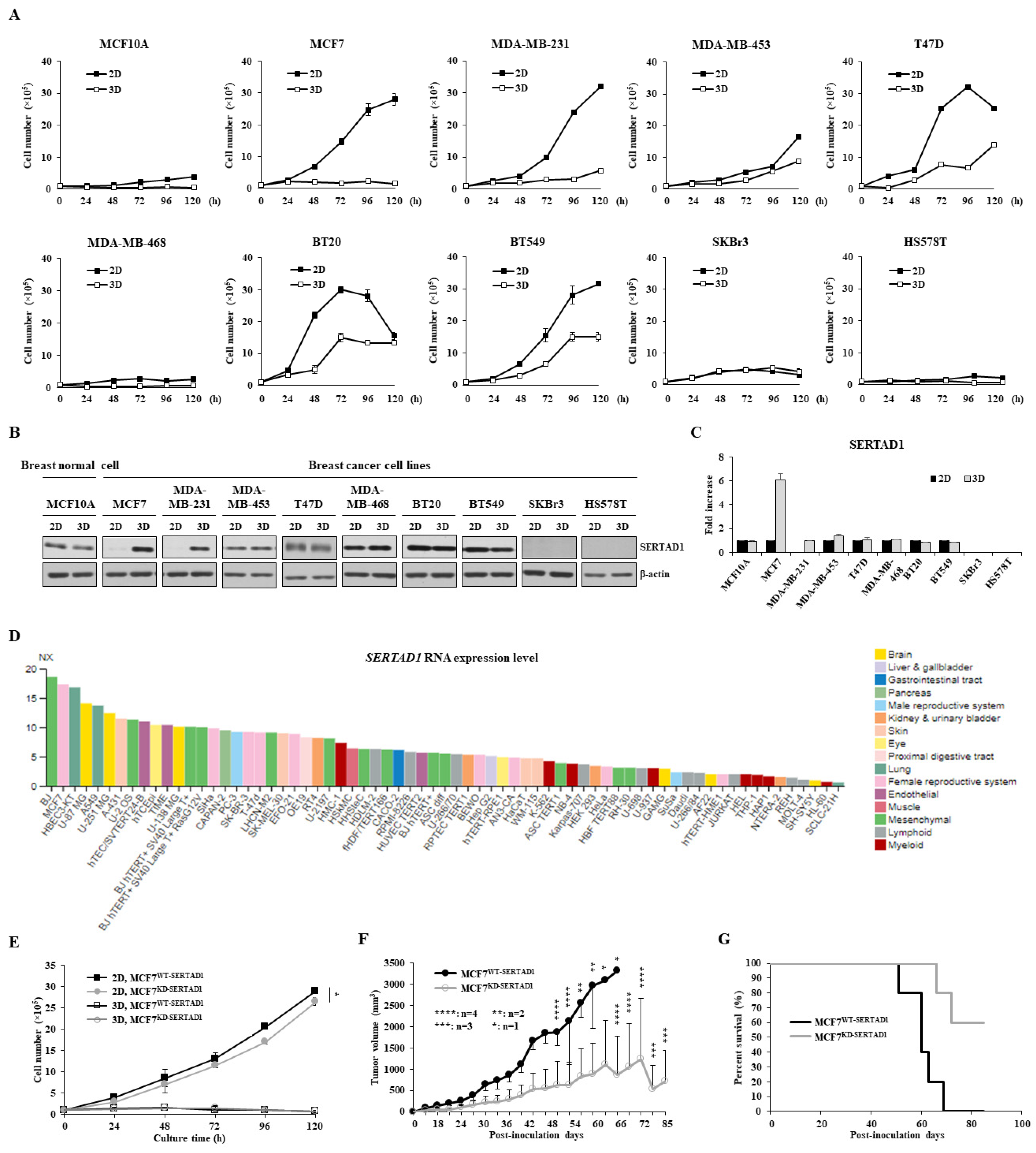 Biomedicines 10 01148 g001