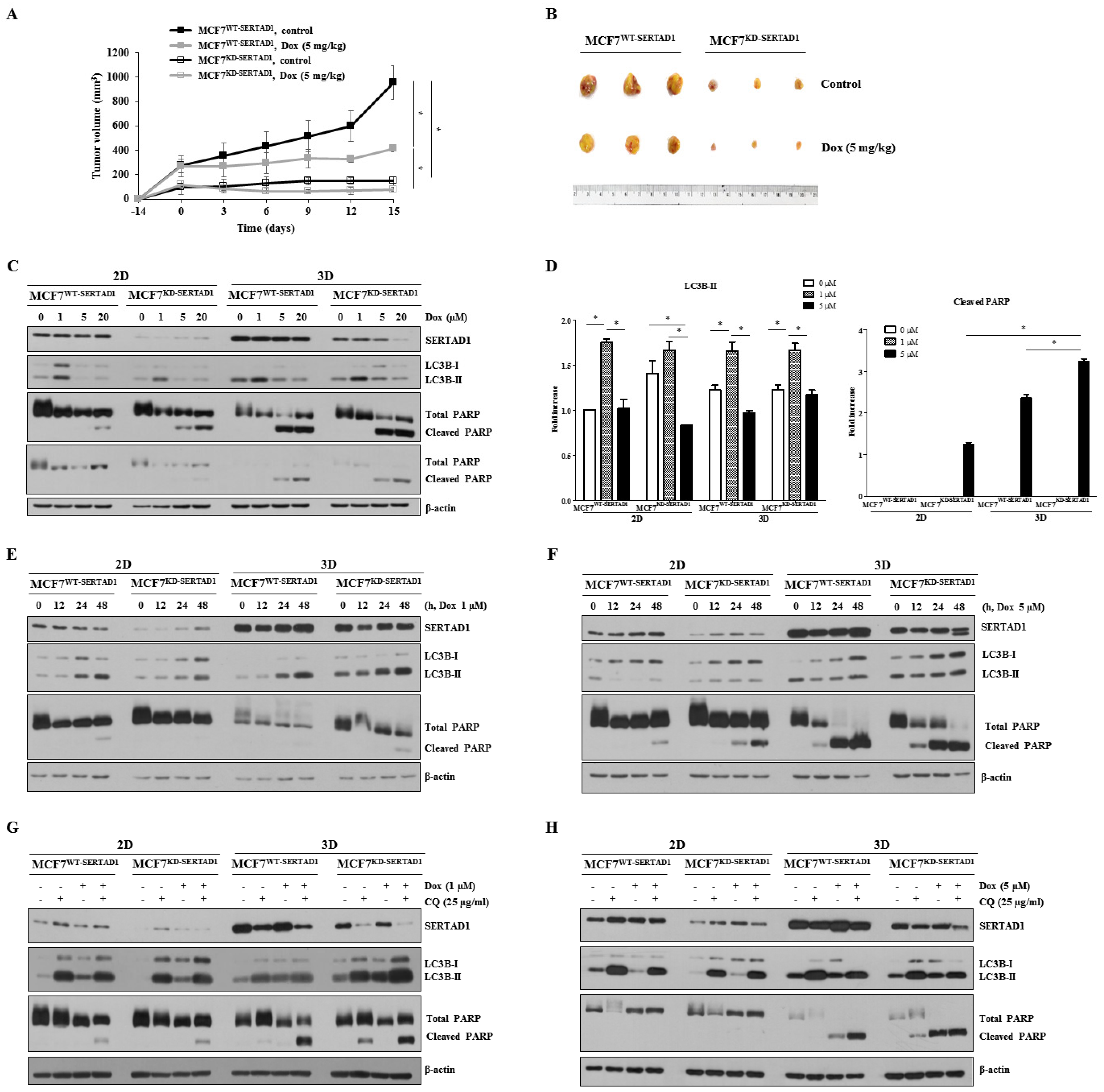 Biomedicines 10 01148 g003
