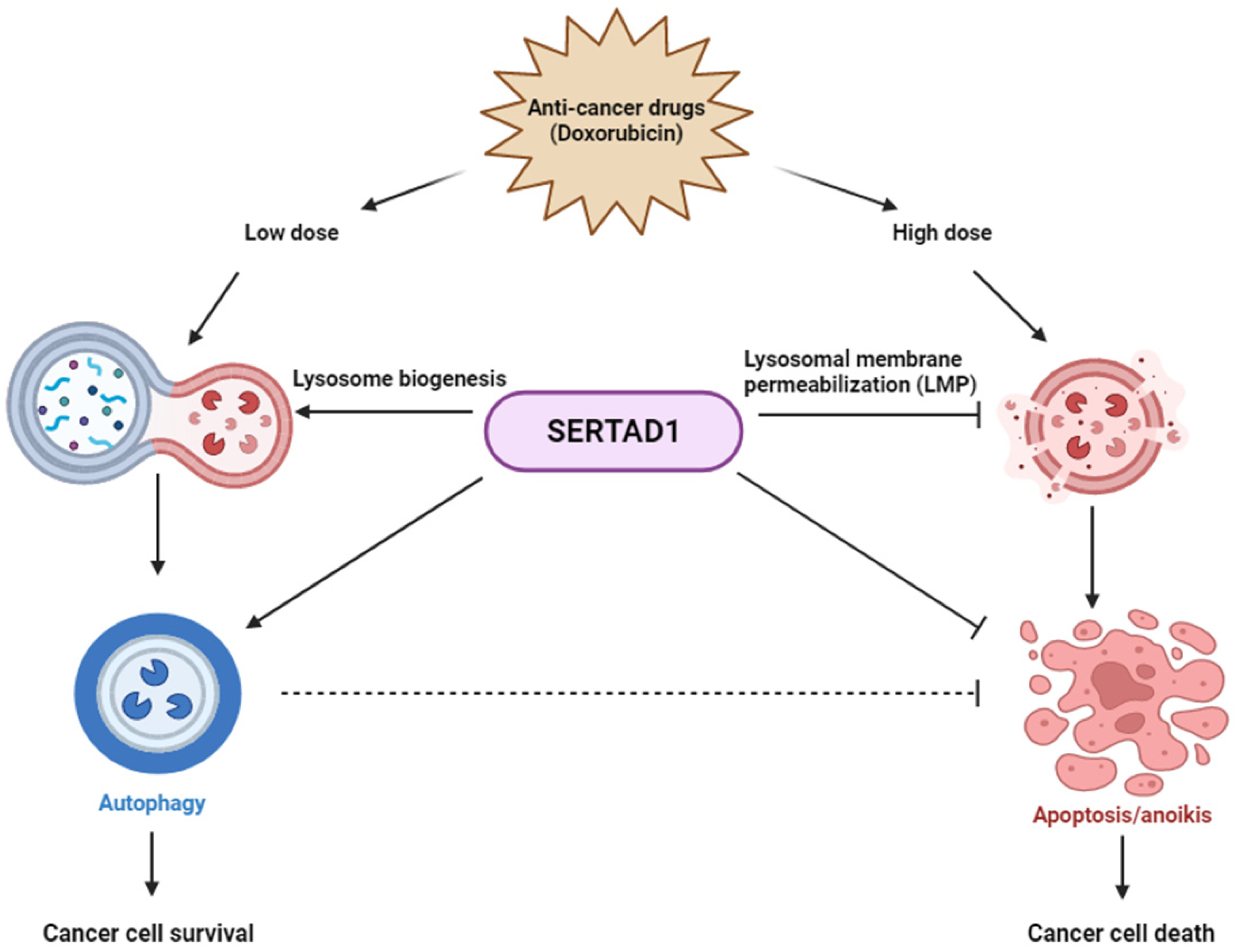 Biomedicines 10 01148 g006