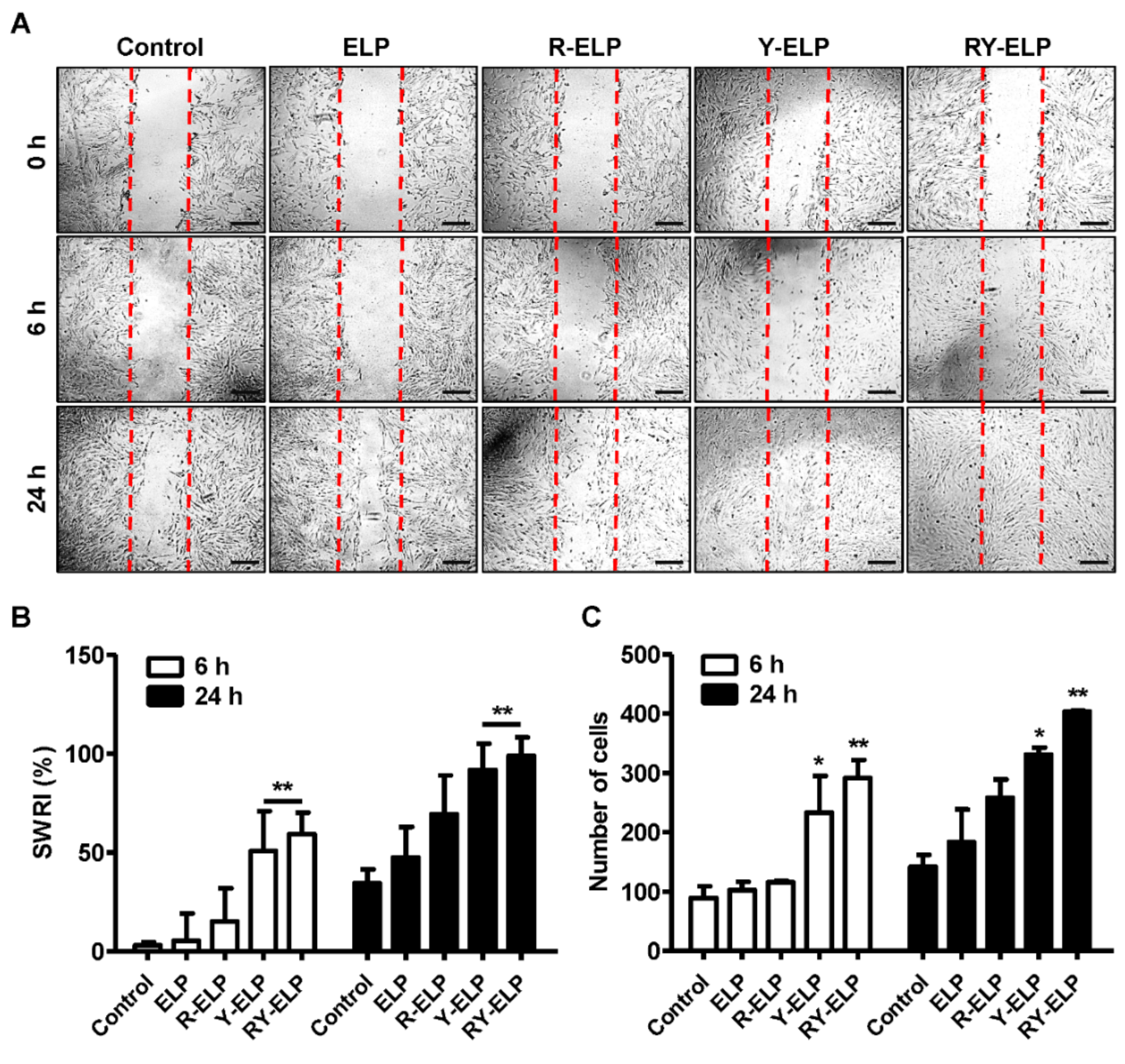 Biomedicines 10 01151 g003