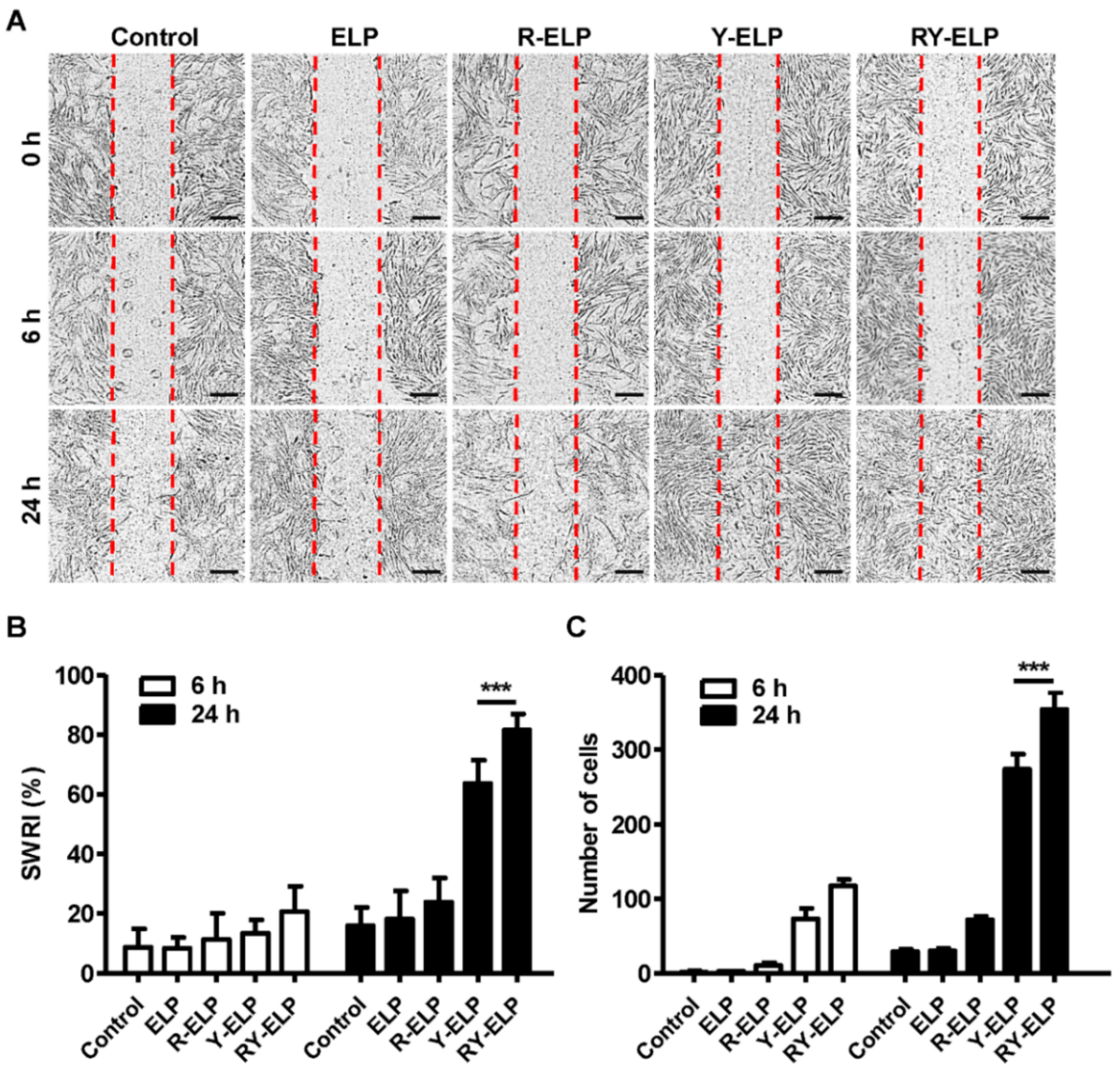 Biomedicines 10 01151 g006