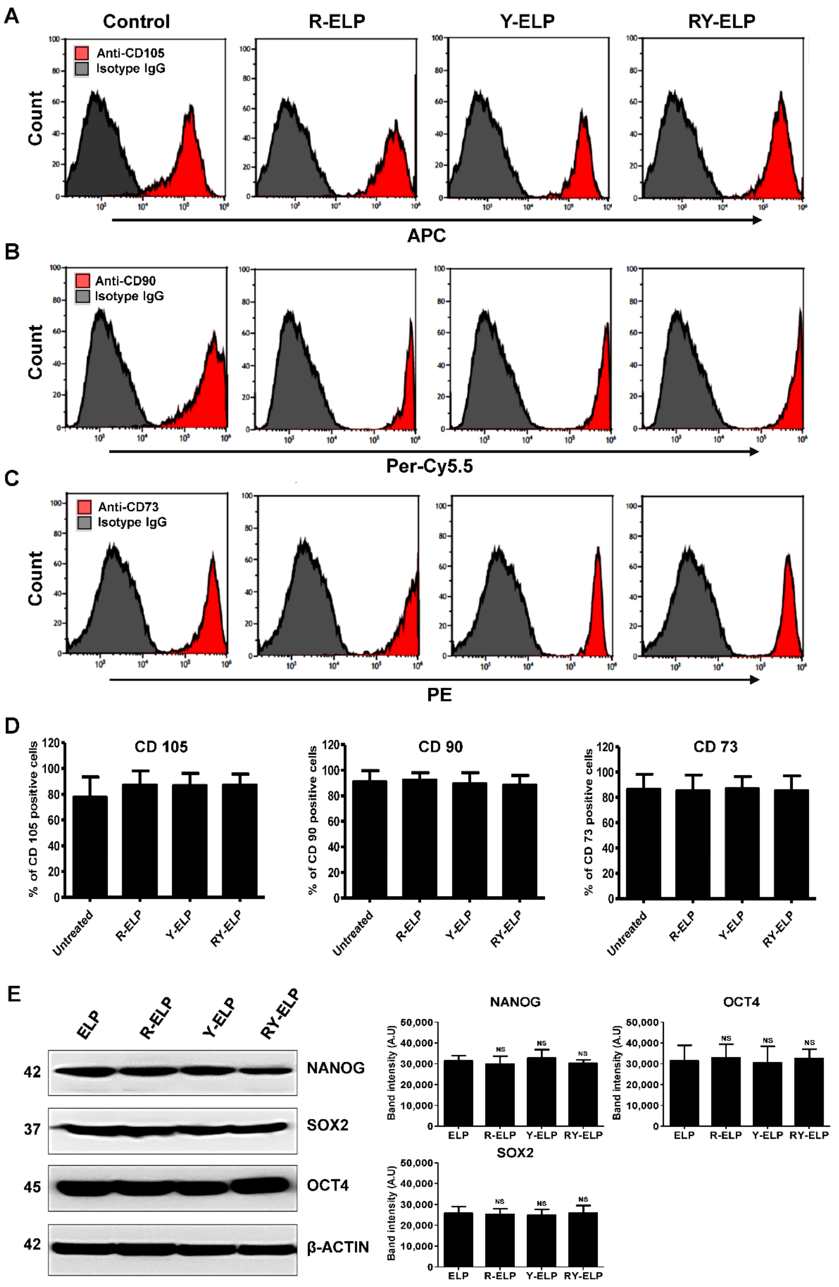 Biomedicines 10 01151 g008