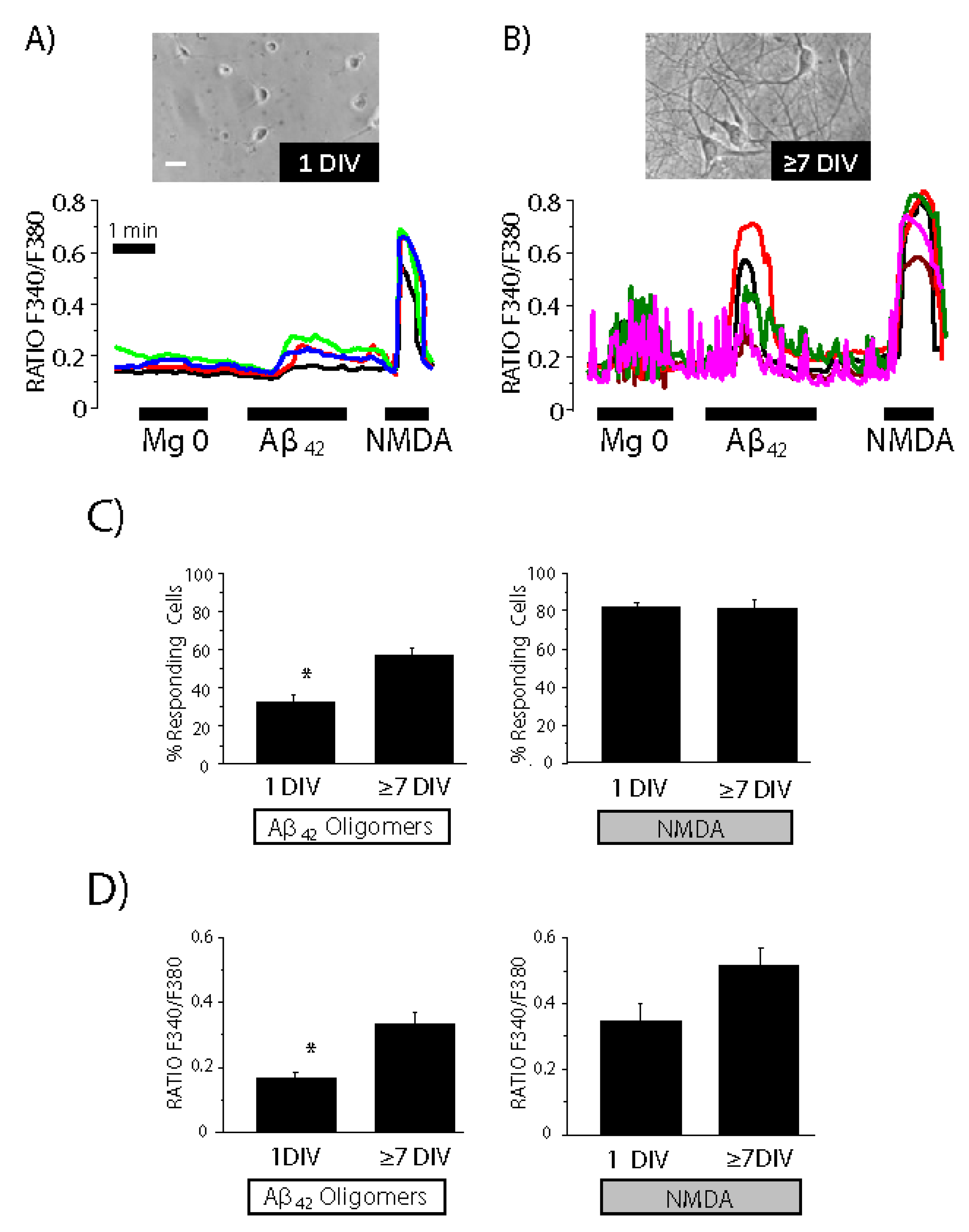 Biomedicines 10 01153 g004