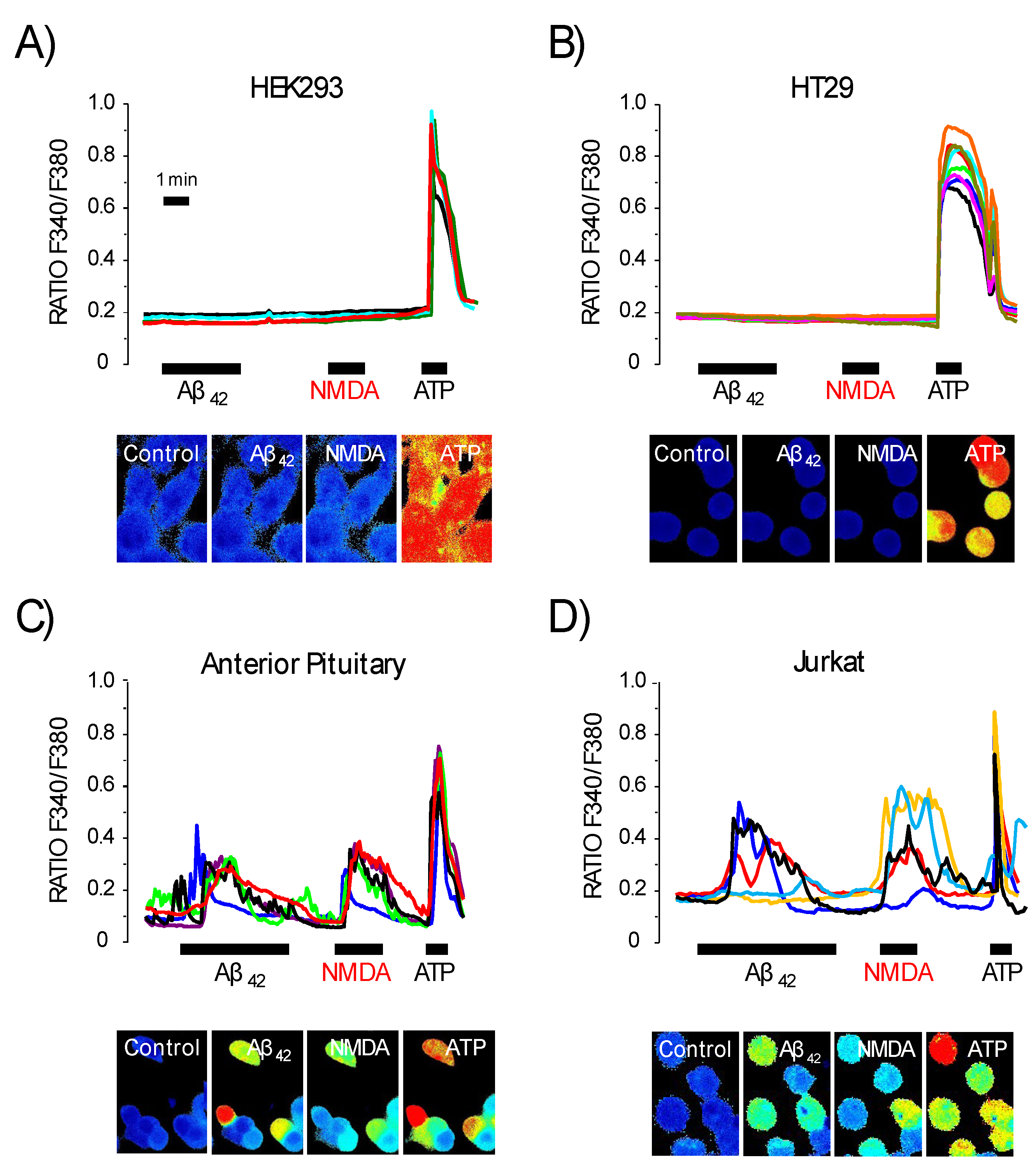 Biomedicines 10 01153 g007