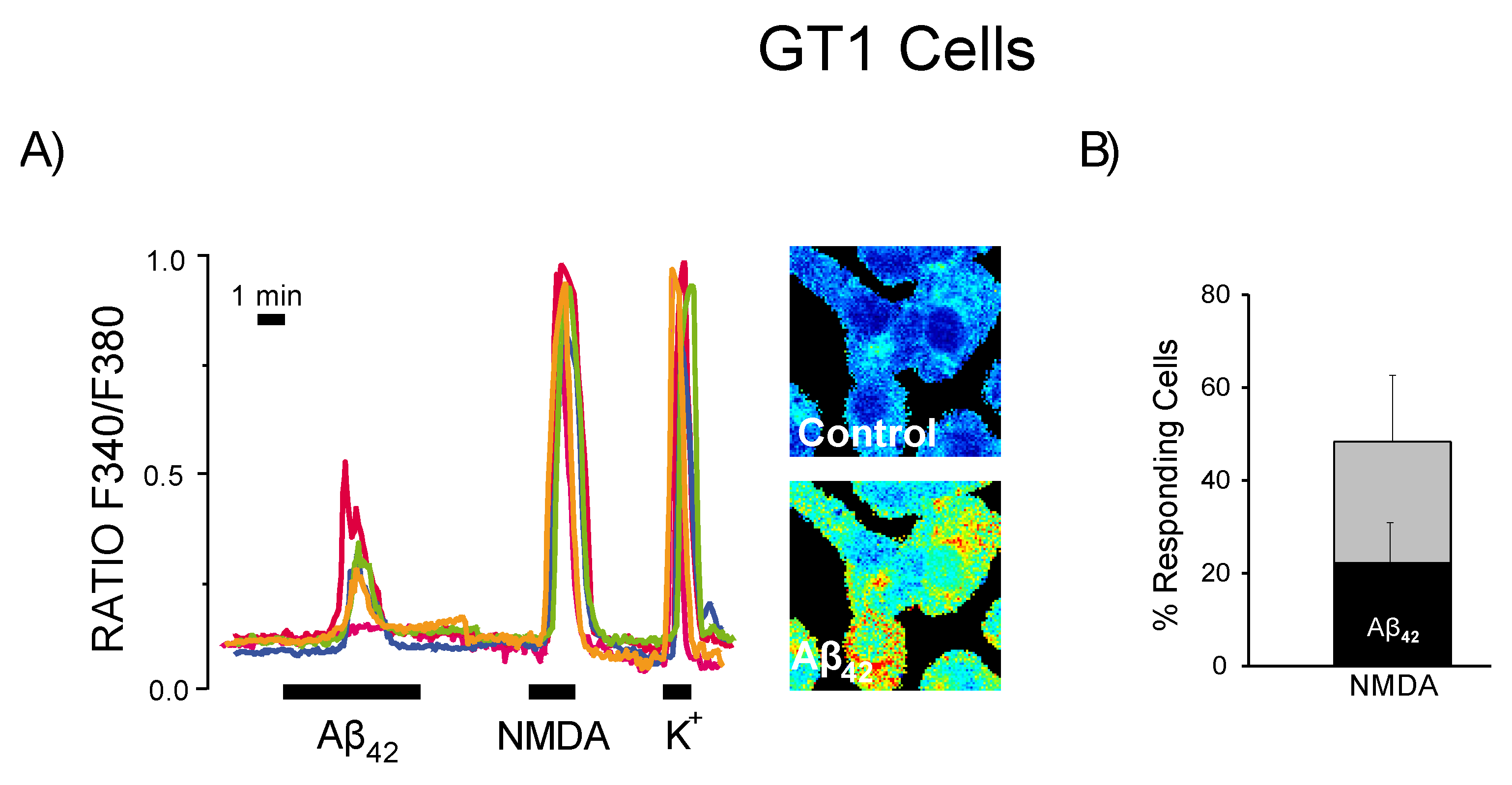 Biomedicines 10 01153 g008