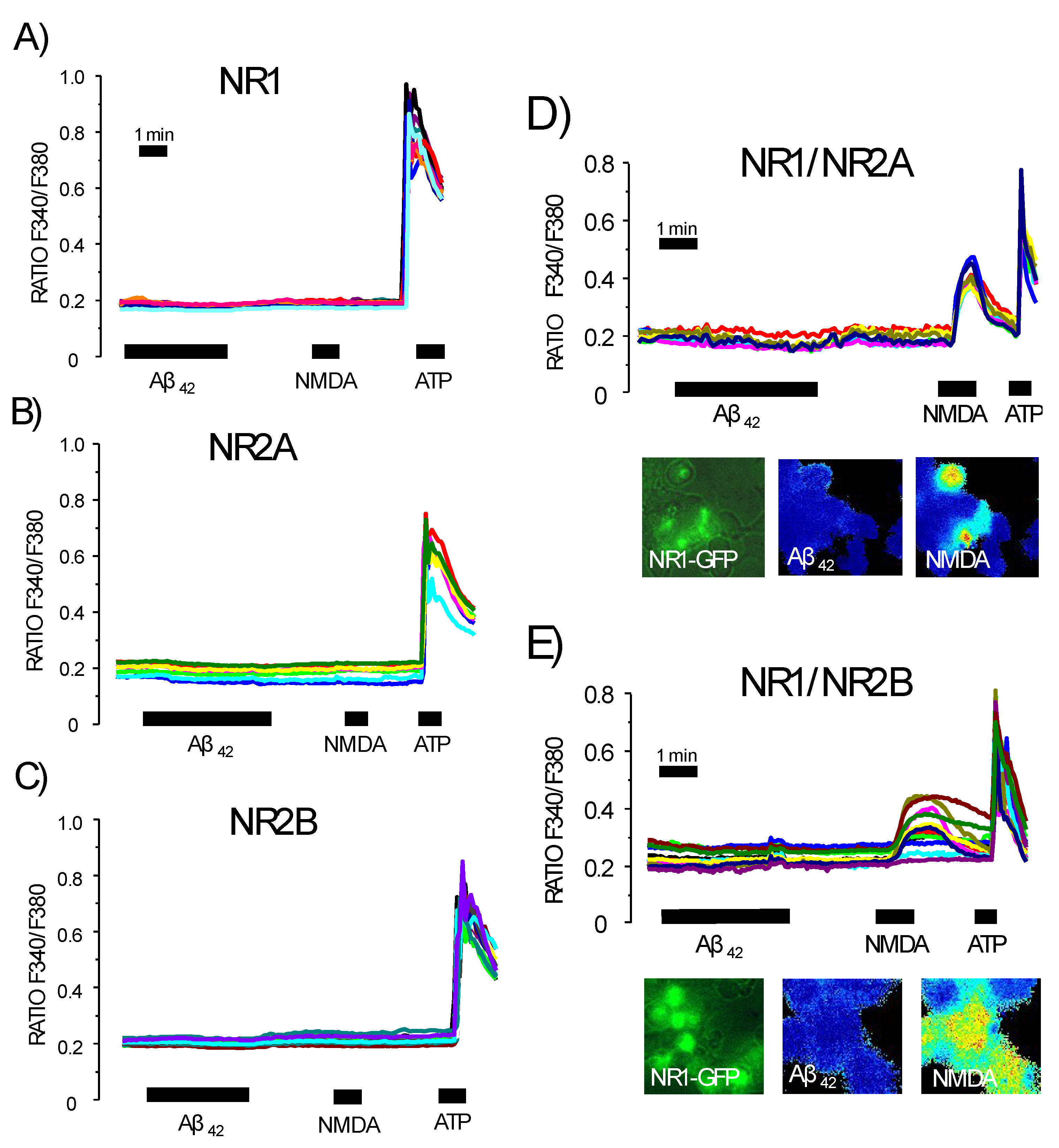 Biomedicines 10 01153 g009