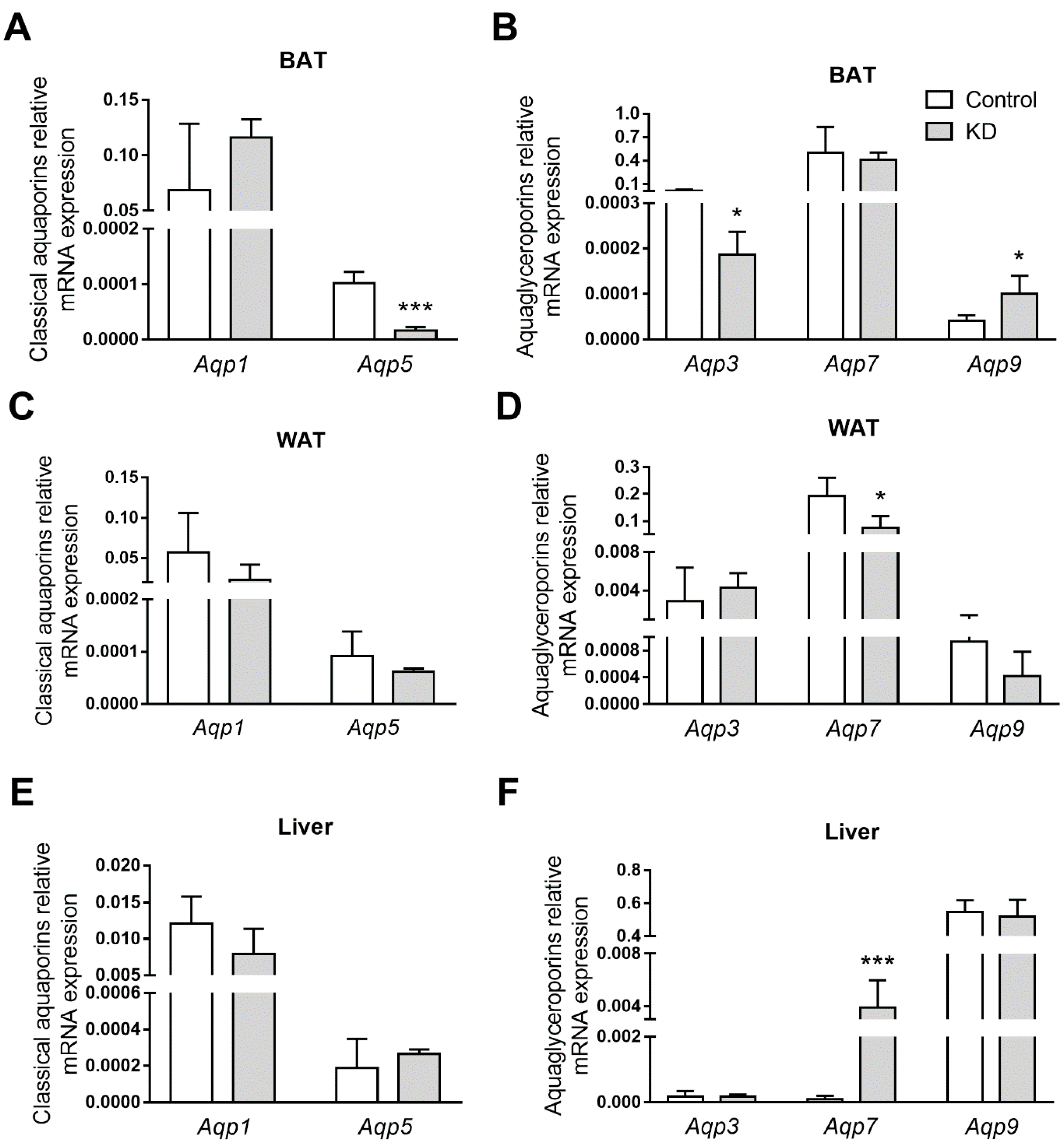 Biomedicines 10 01159 g005 550