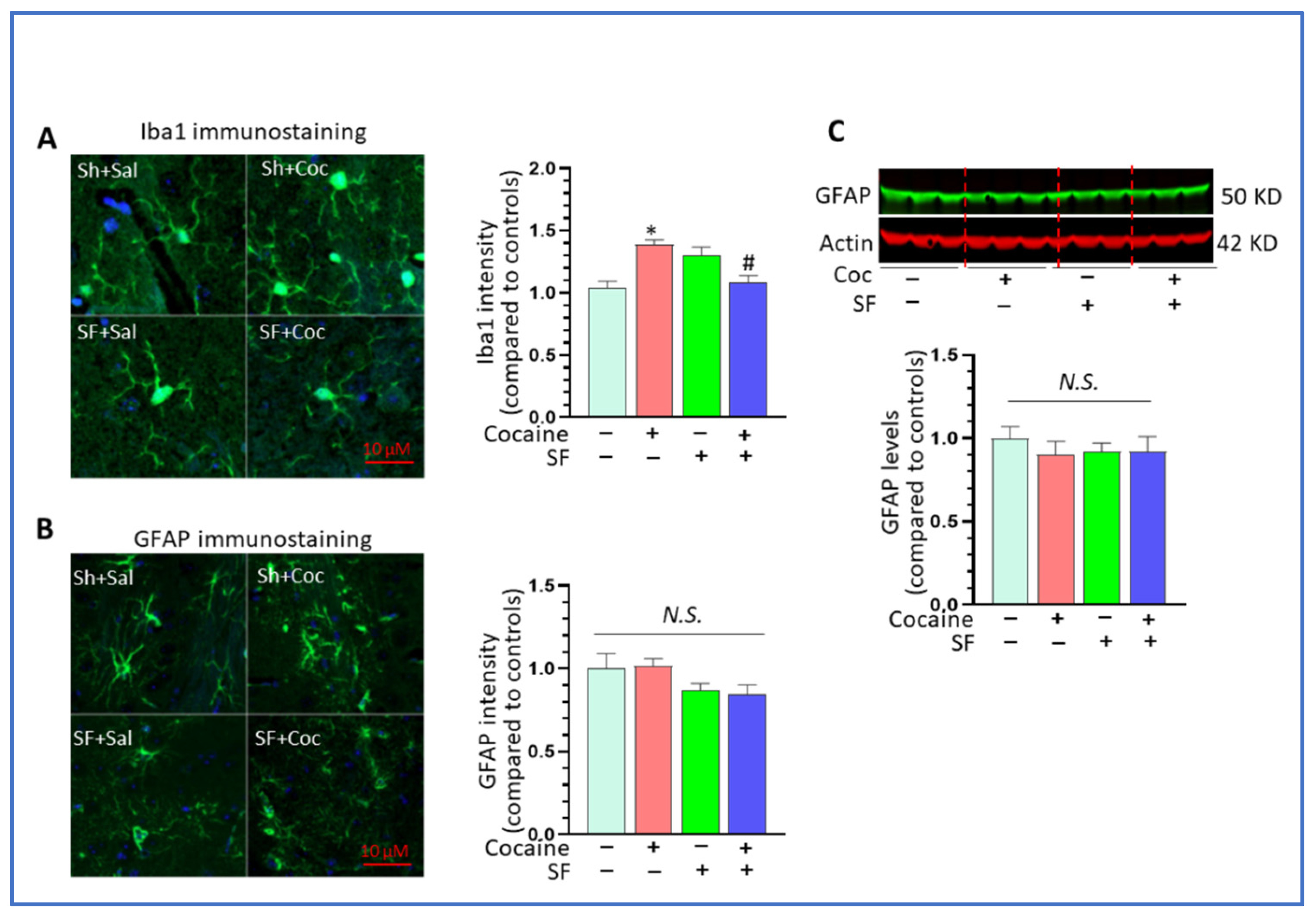 Biomedicines 10 01161 g004