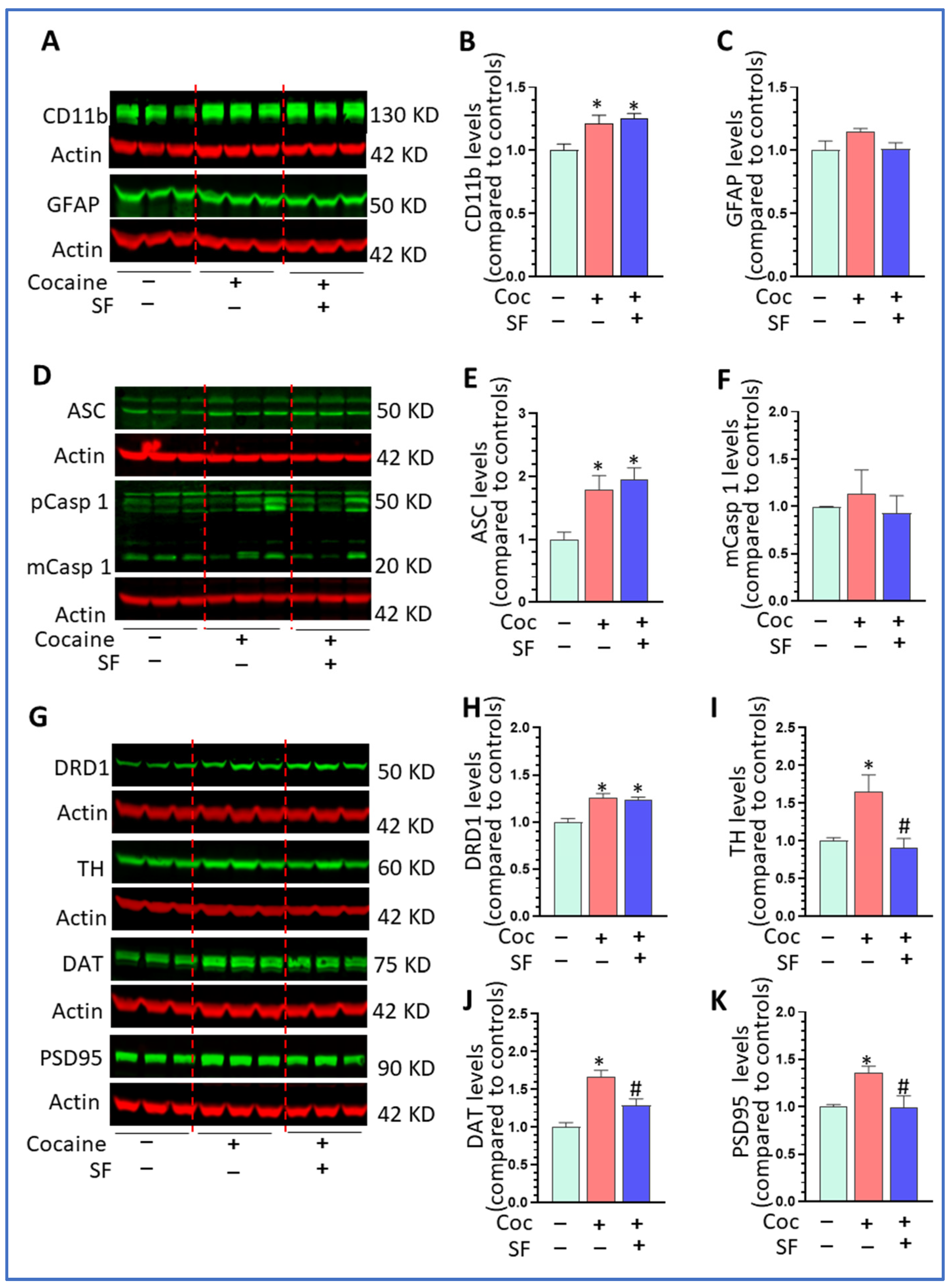 Biomedicines 10 01161 g007