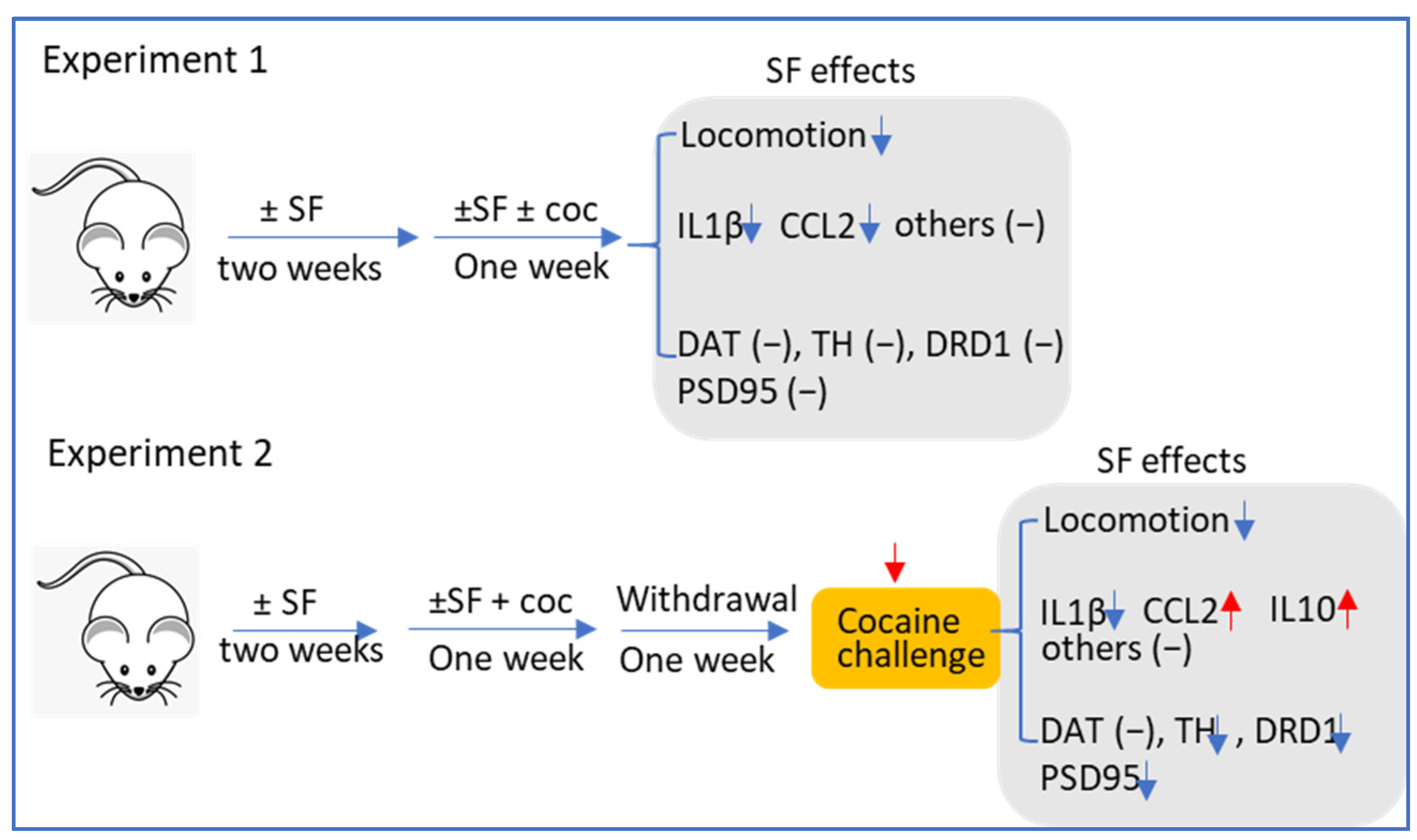Biomedicines 10 01161 g008