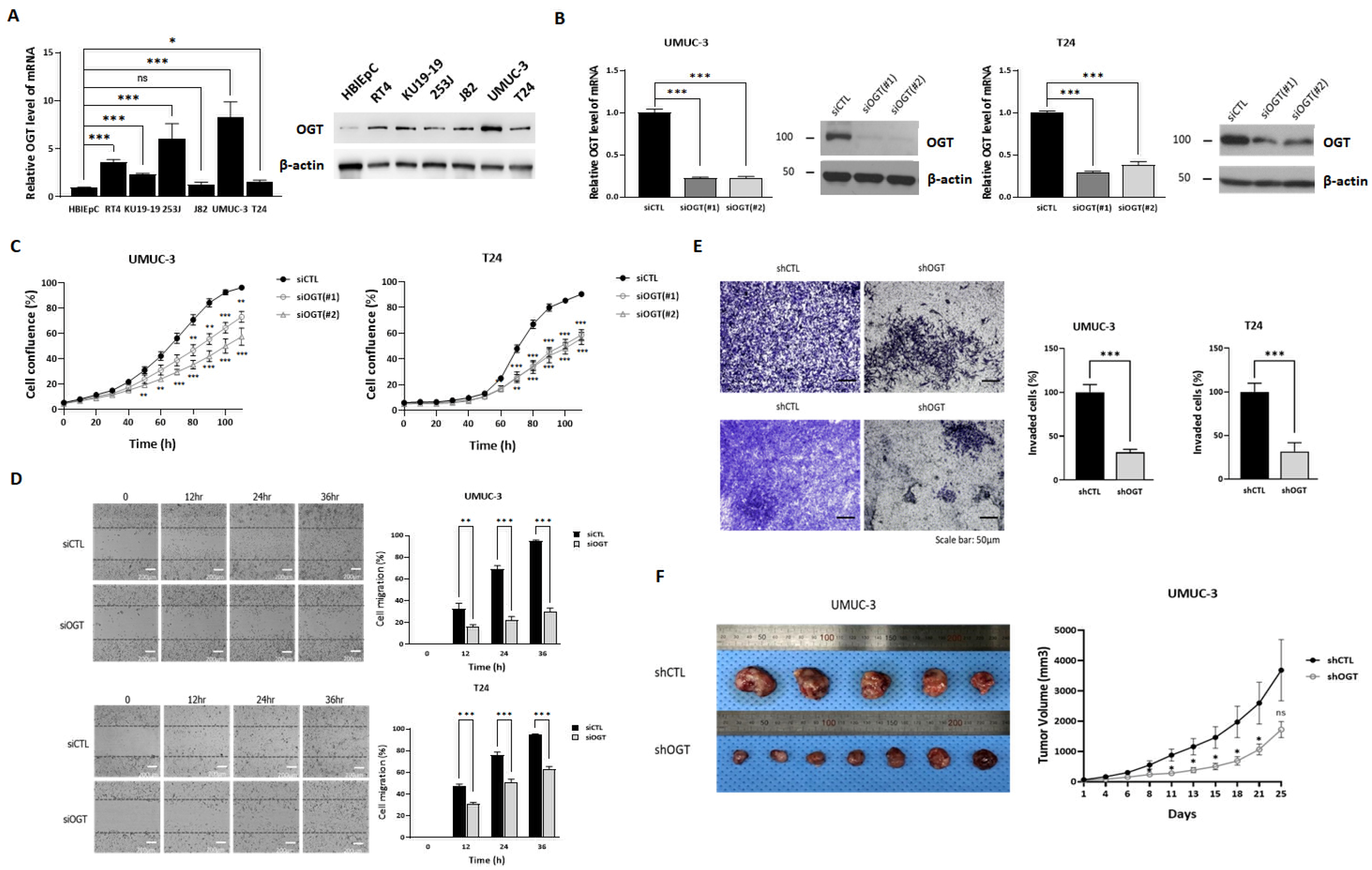 Biomedicines 10 01162 g001 550