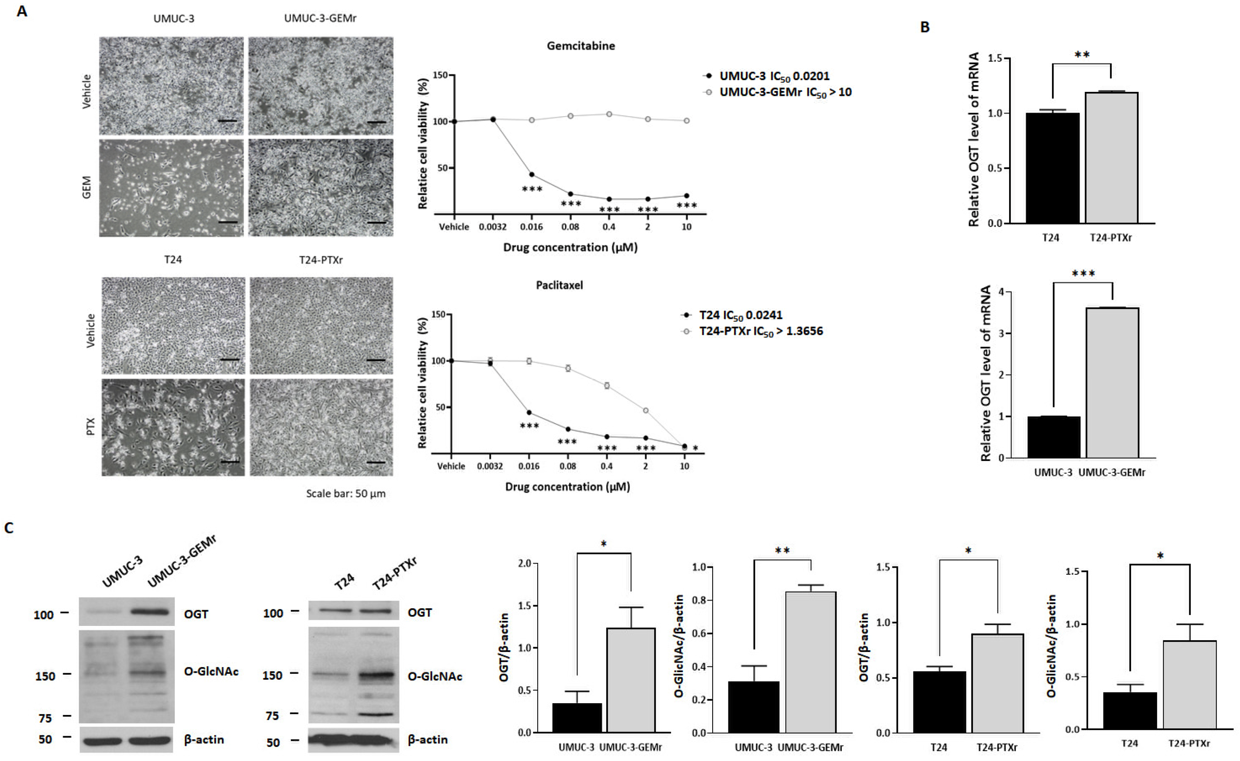 Biomedicines 10 01162 g002 550