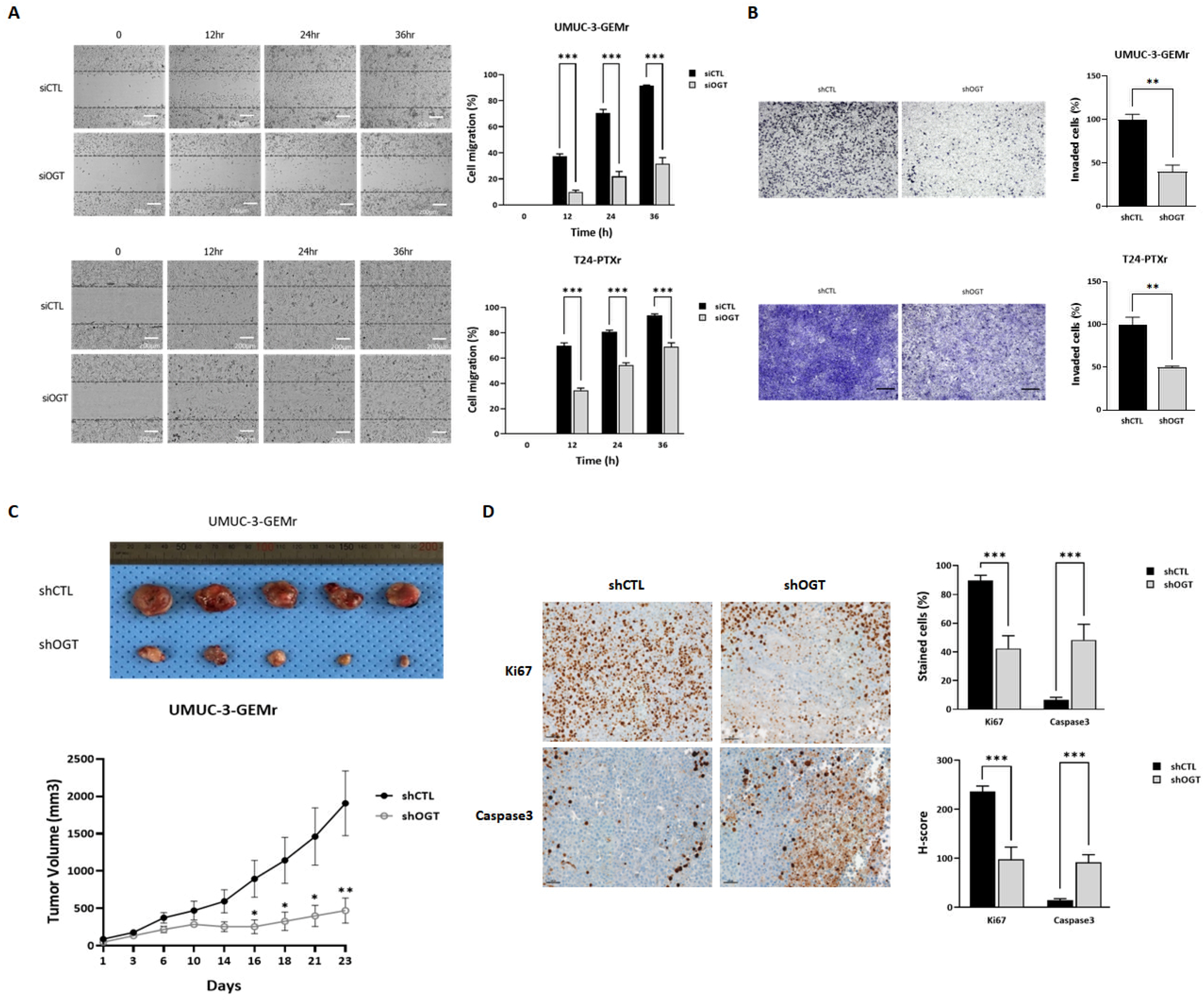 Biomedicines 10 01162 g004 550